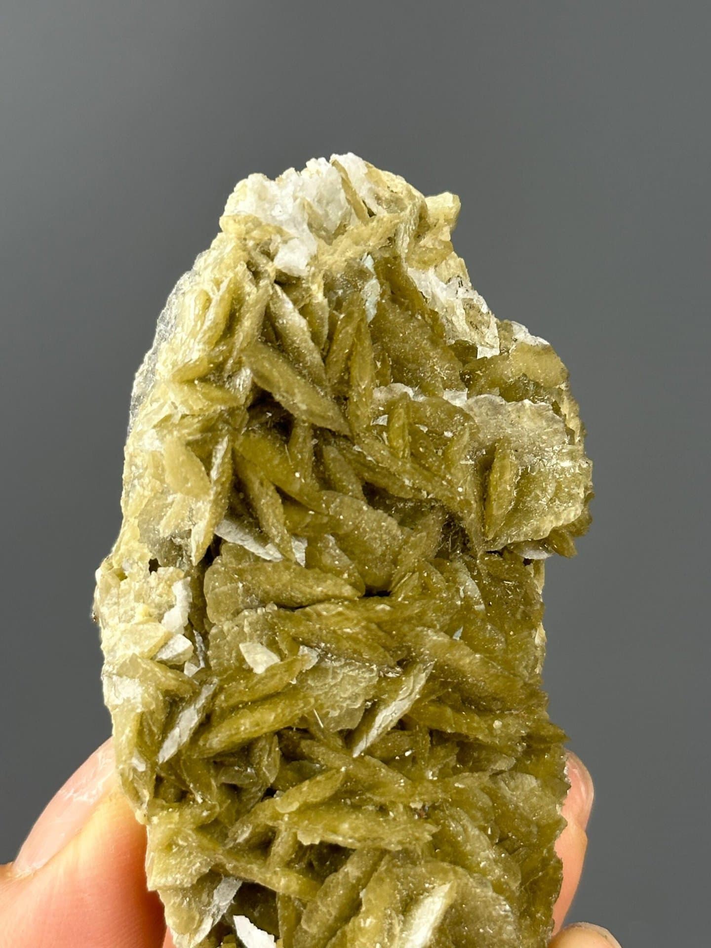 Siderite Guizhou dolomite ruler scale reference