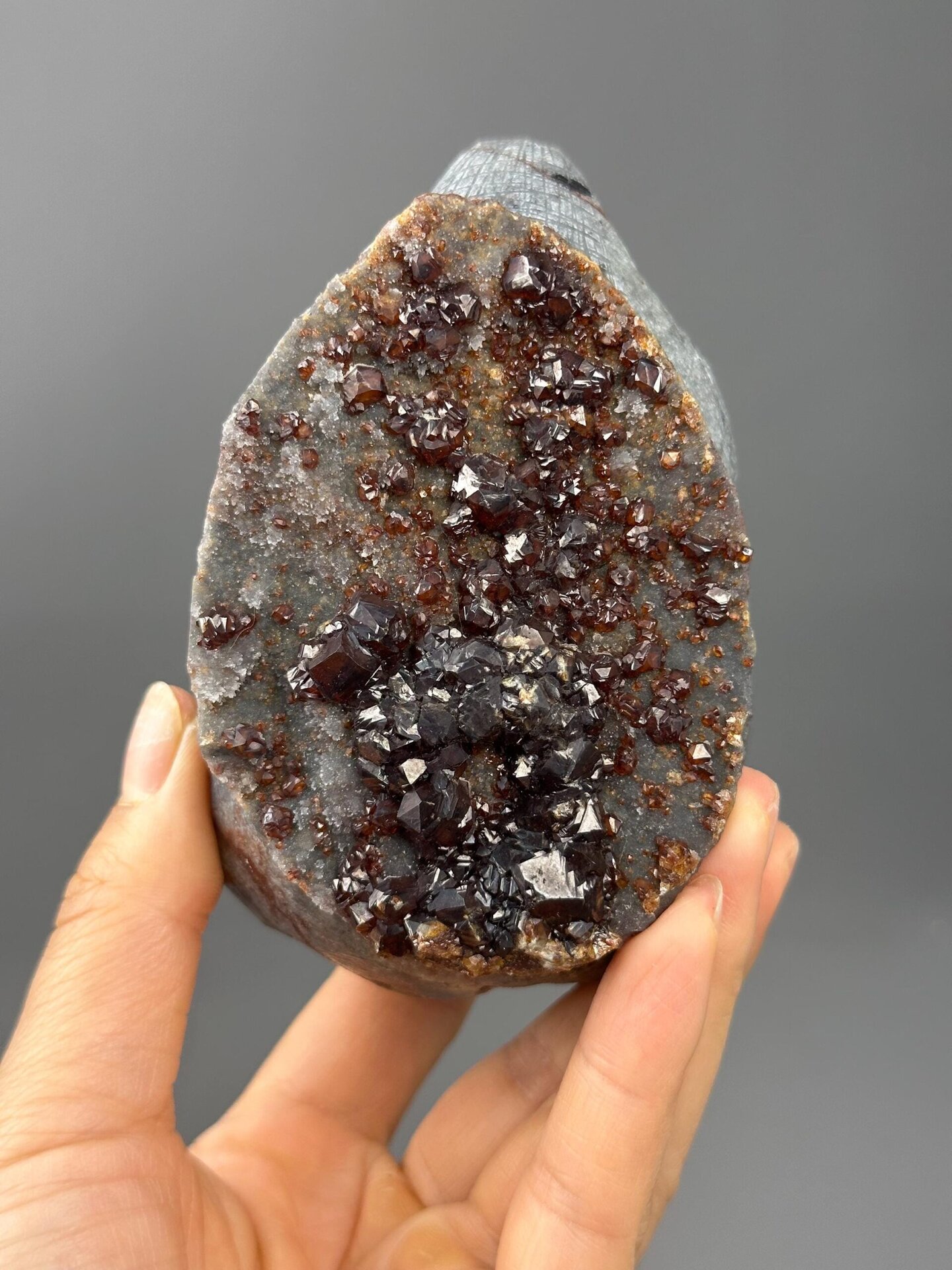 Close-up of onyx eye detail on garnet elephant