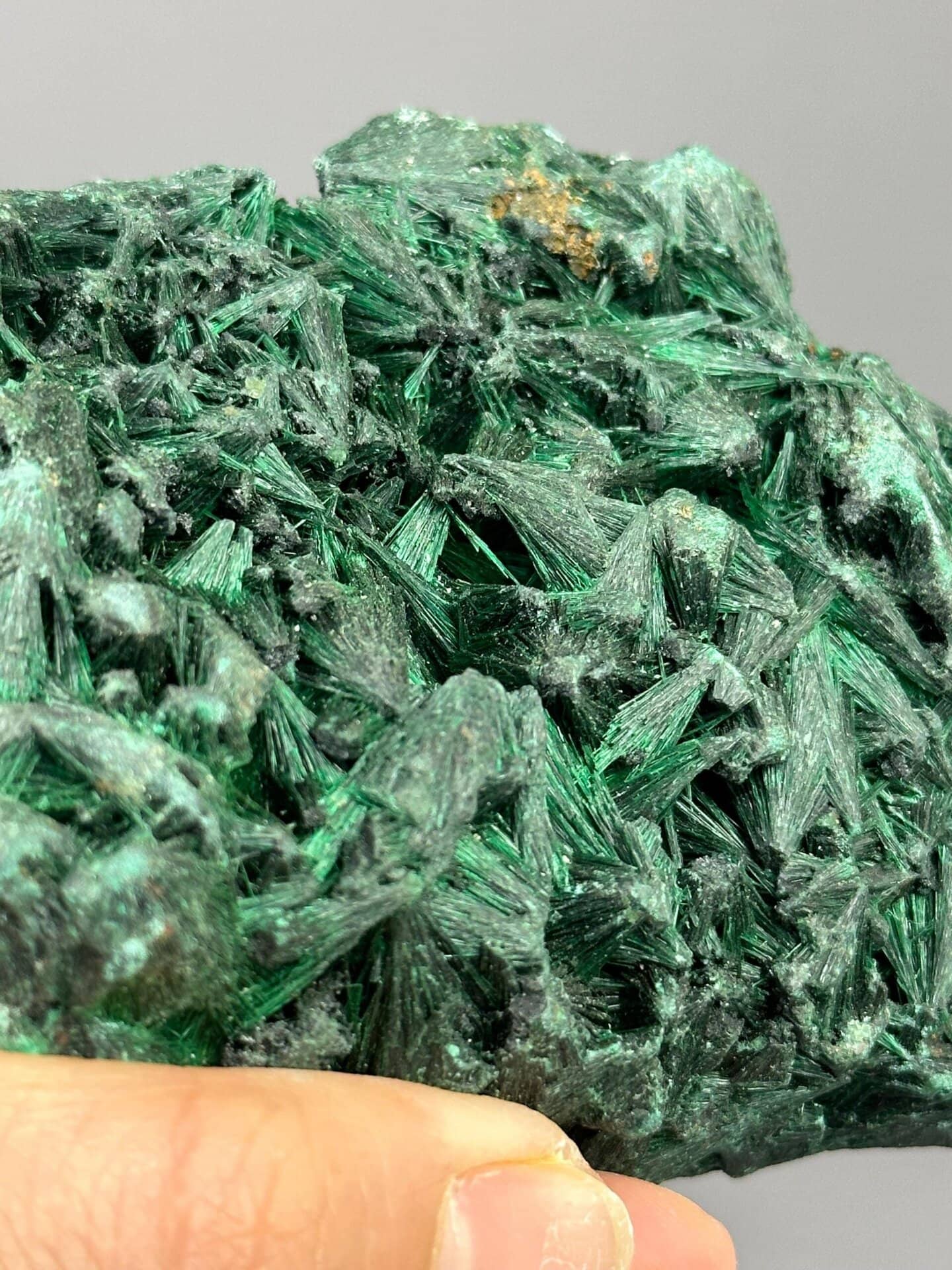 Top view of malachite acicular crystal cluster