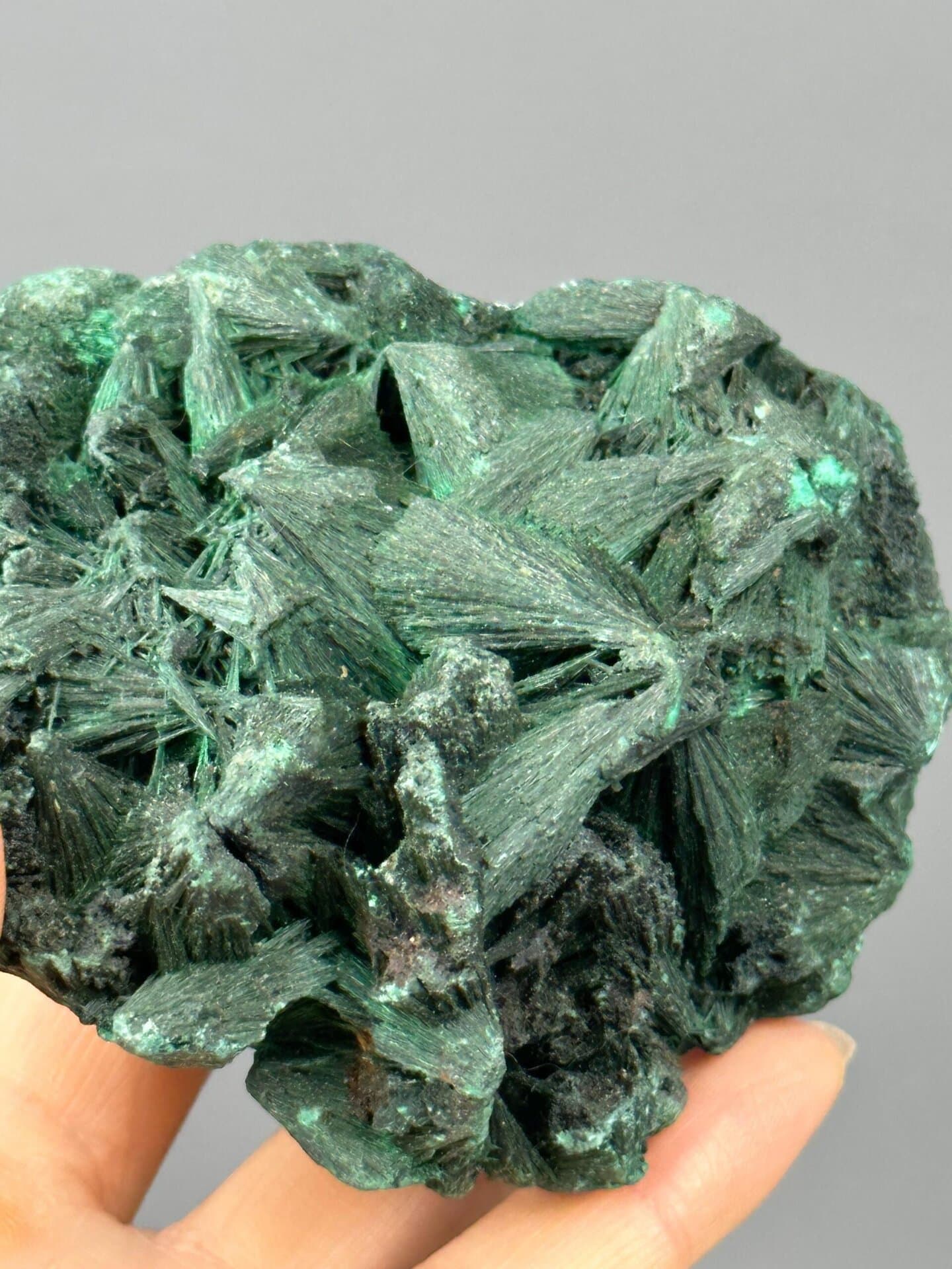 Malachite needle cluster with ruler scale reference