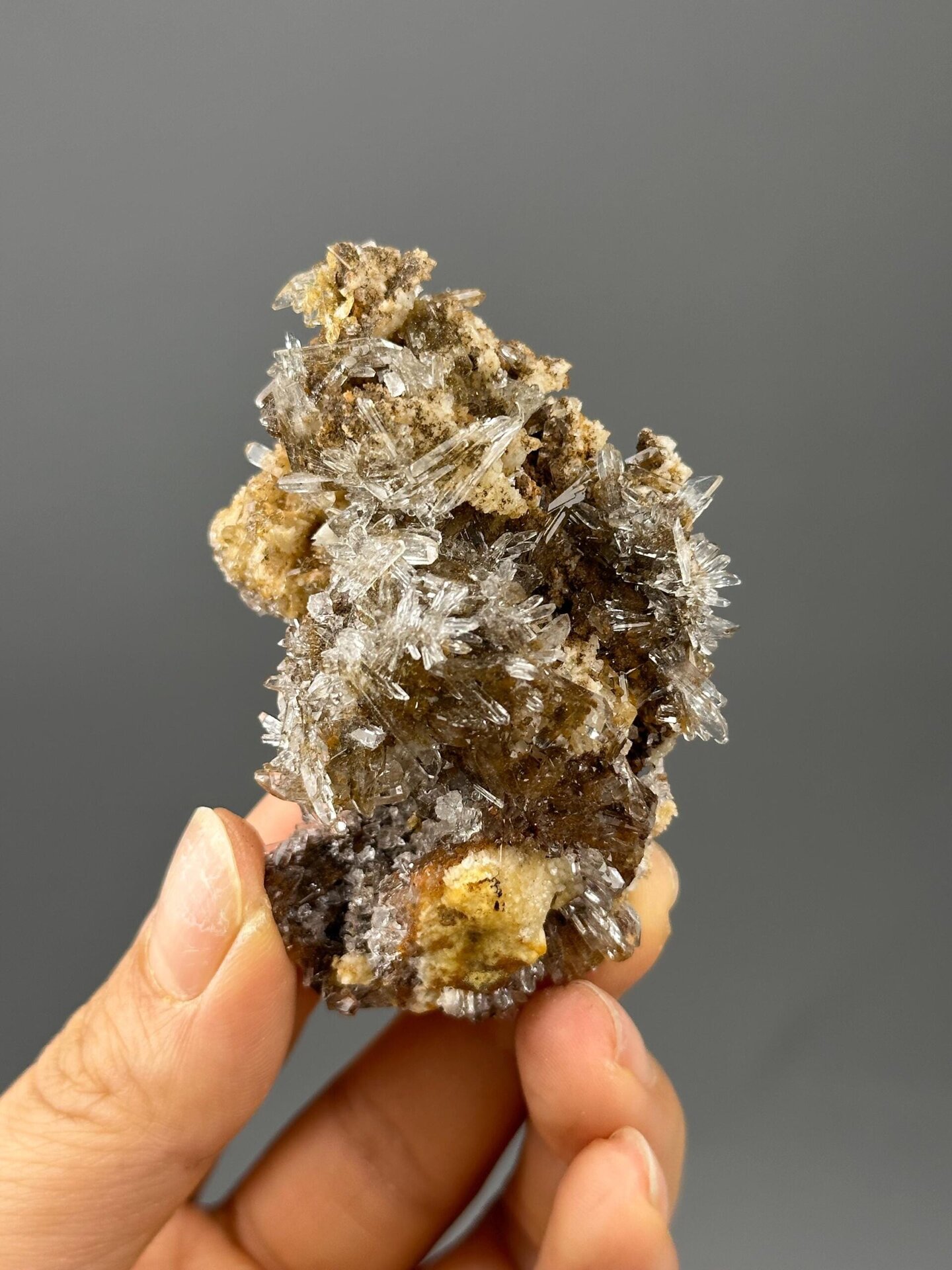 Top view of gypsum needle cluster rosette