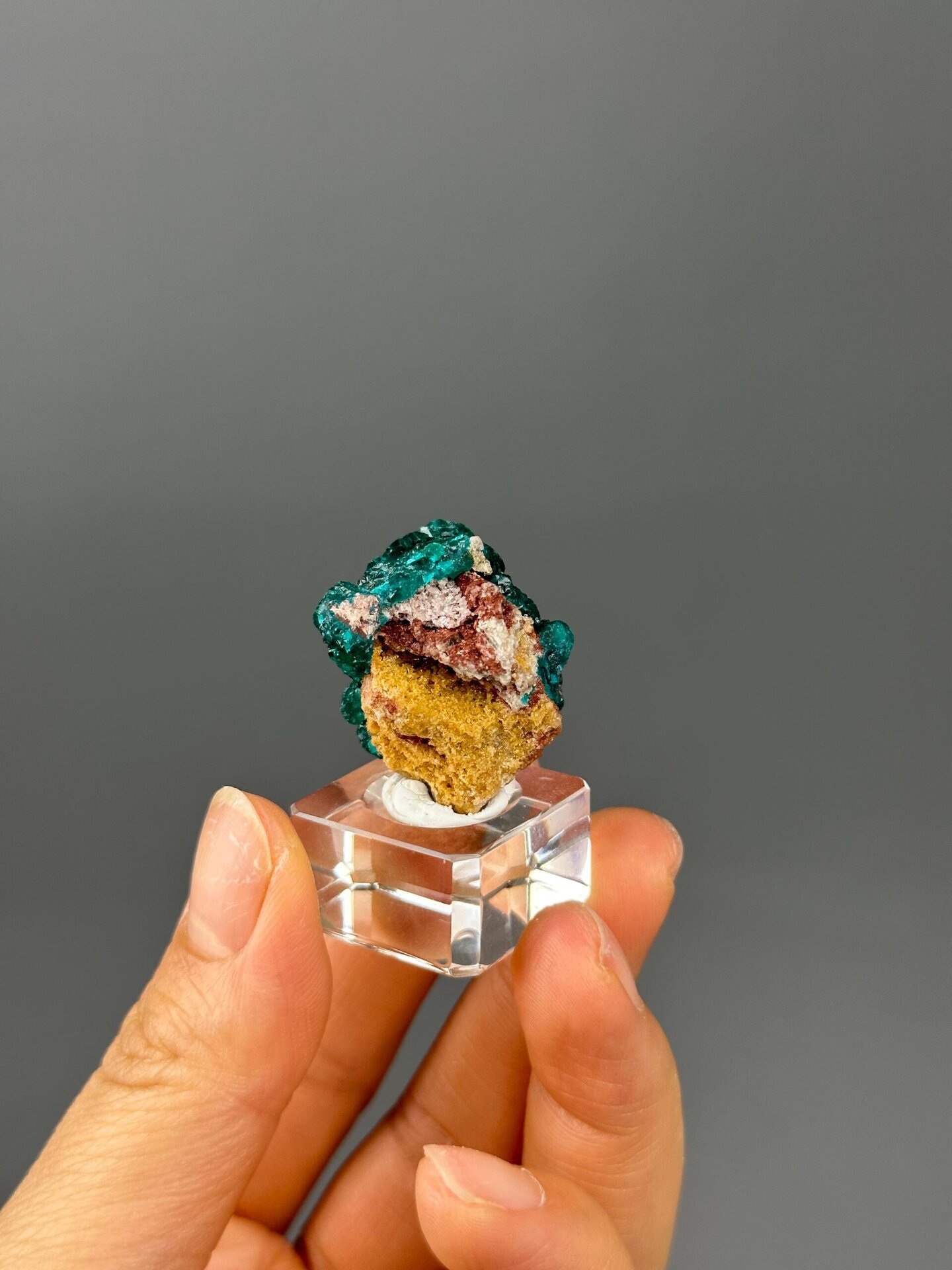 Dioptase on matrix side profile Congo specimen