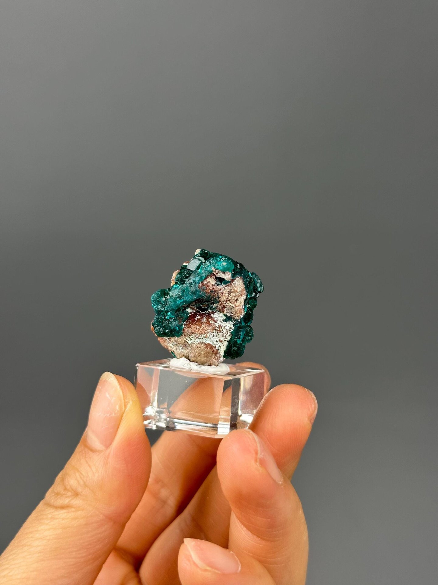 Dioptase crystal luster adamantine close-up