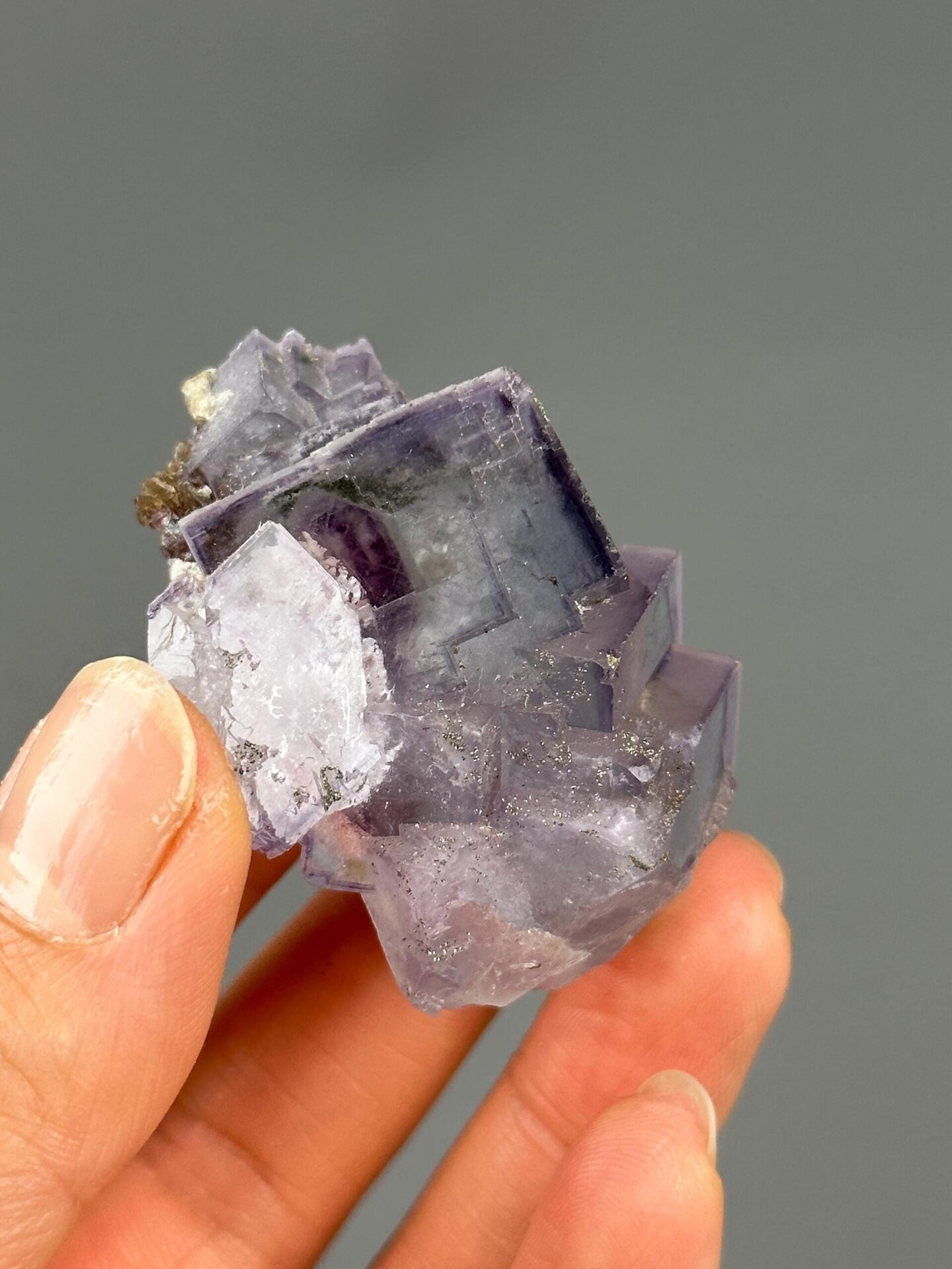 Purple fluorite twin Yaogangxian scale reference