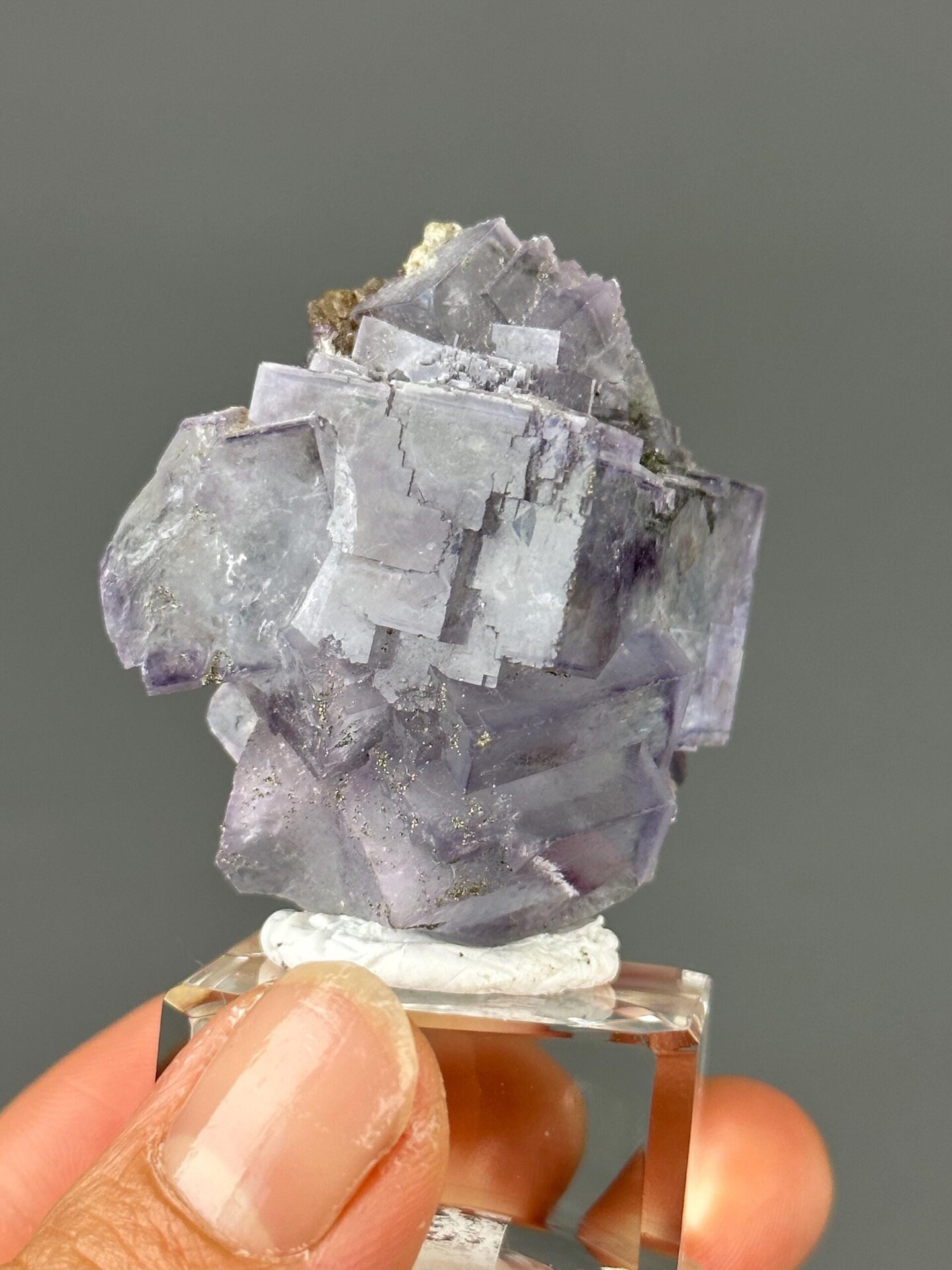 Deep purple stair-step fluorite twin Yaogangxian front view