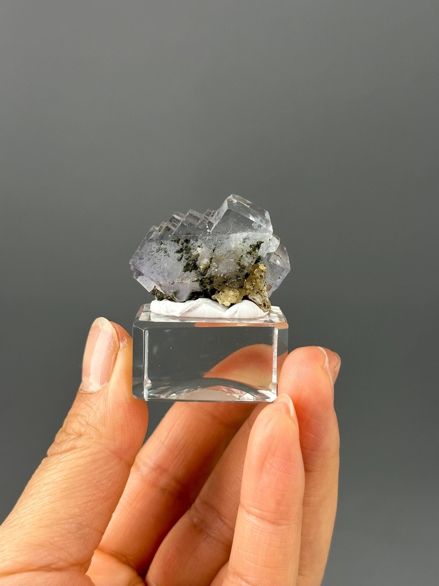 Pyrite scatter inside fluorite crystal