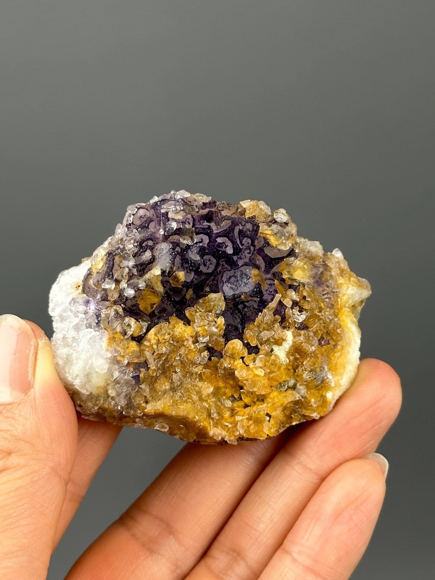 Scale reference of purple fluorite with golden calcite