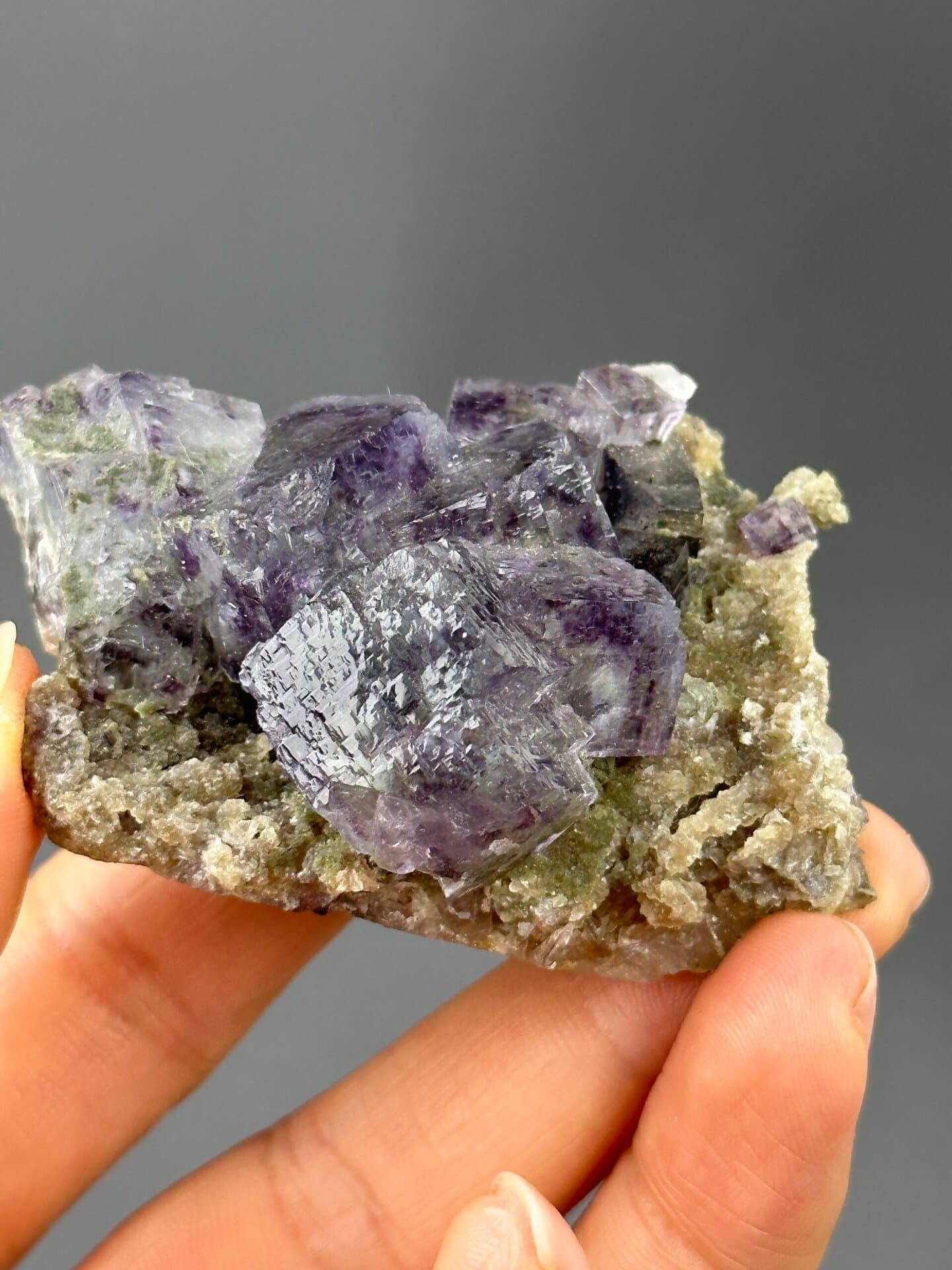 Close-up of purple fluorite cubes contrasting with white dolomite