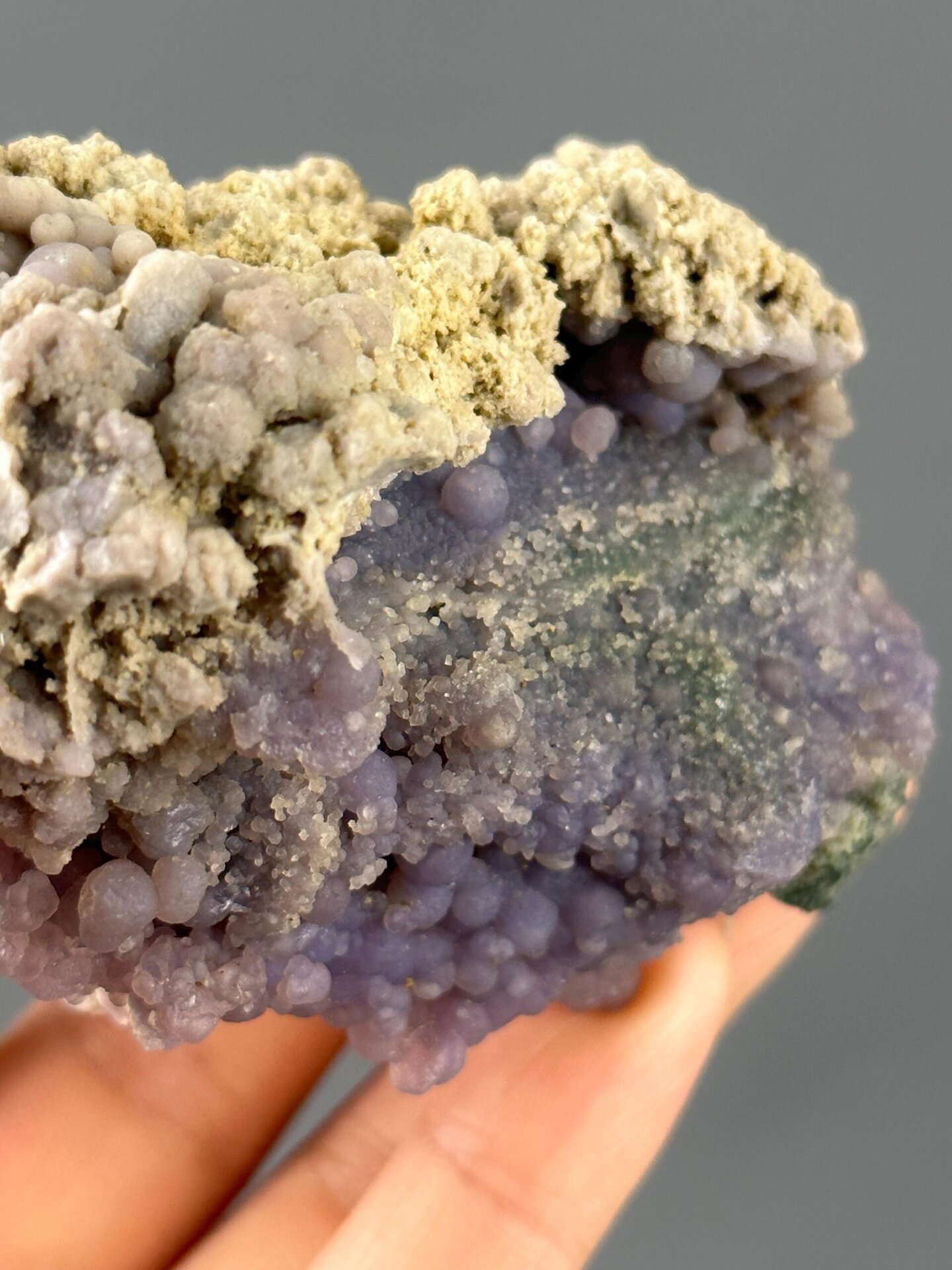 Scale reference of large deep purple grape agate