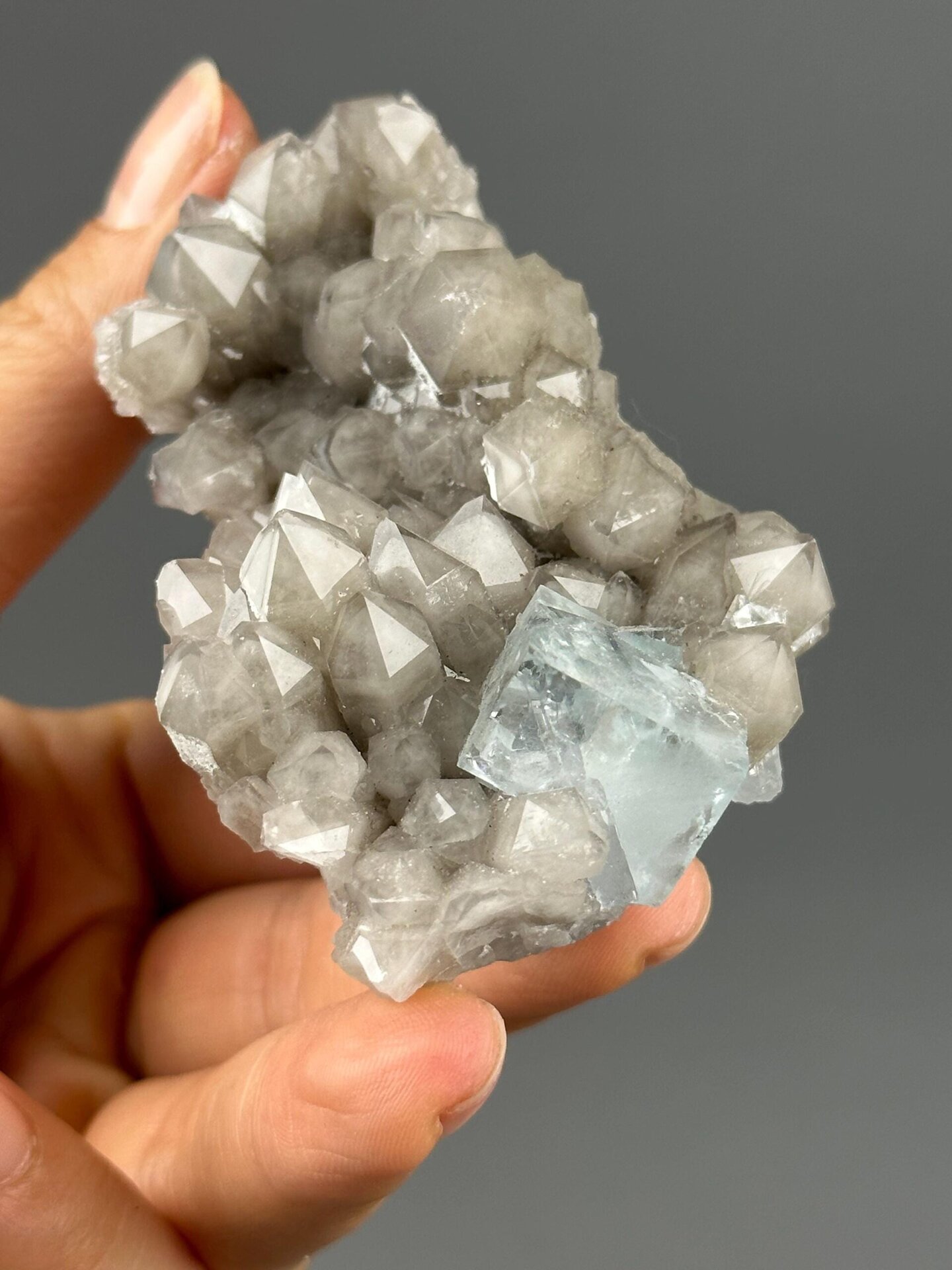 Blue fluorite Hunan scale reference view