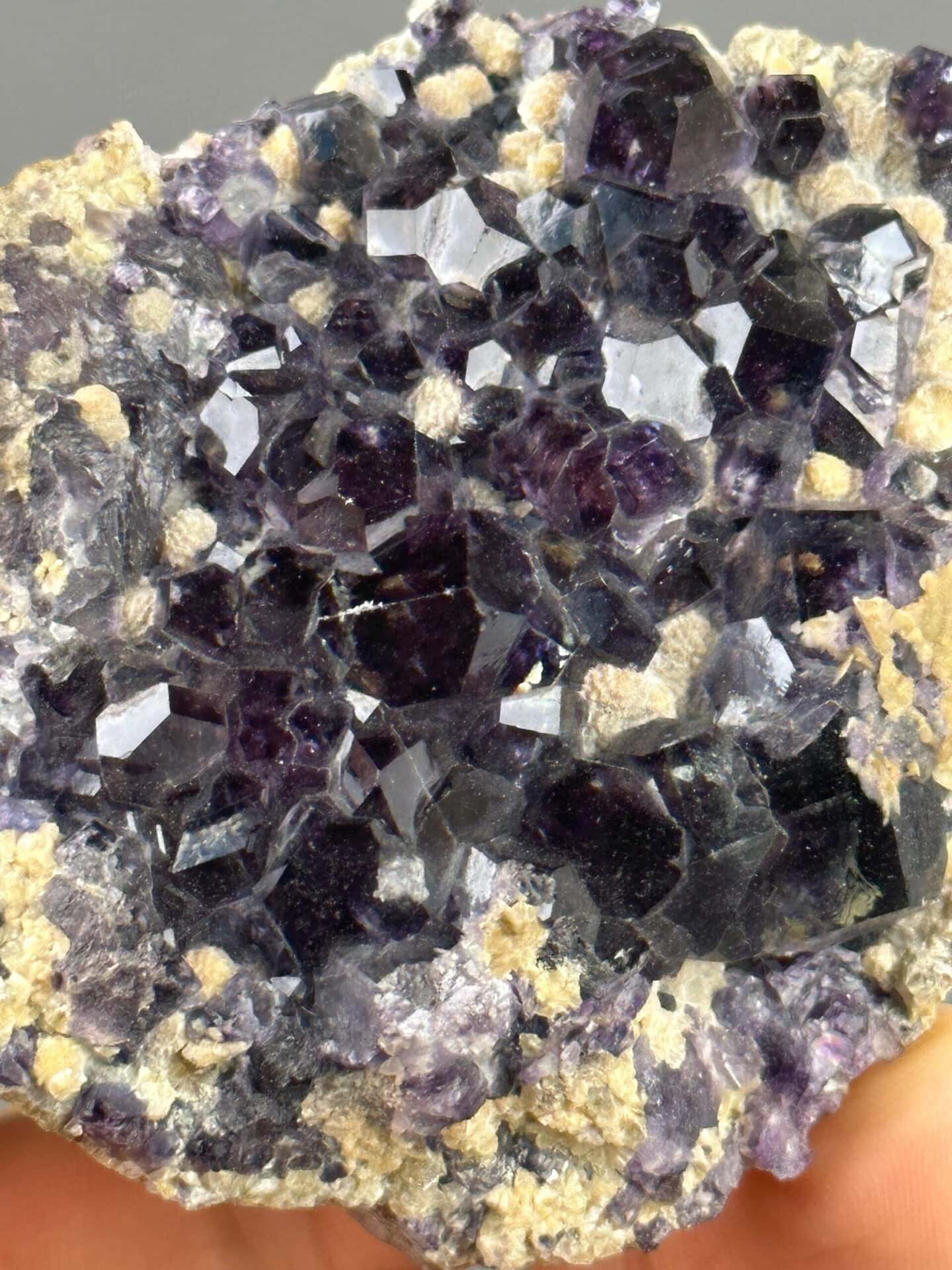 Deep purple fluorite scale reference view