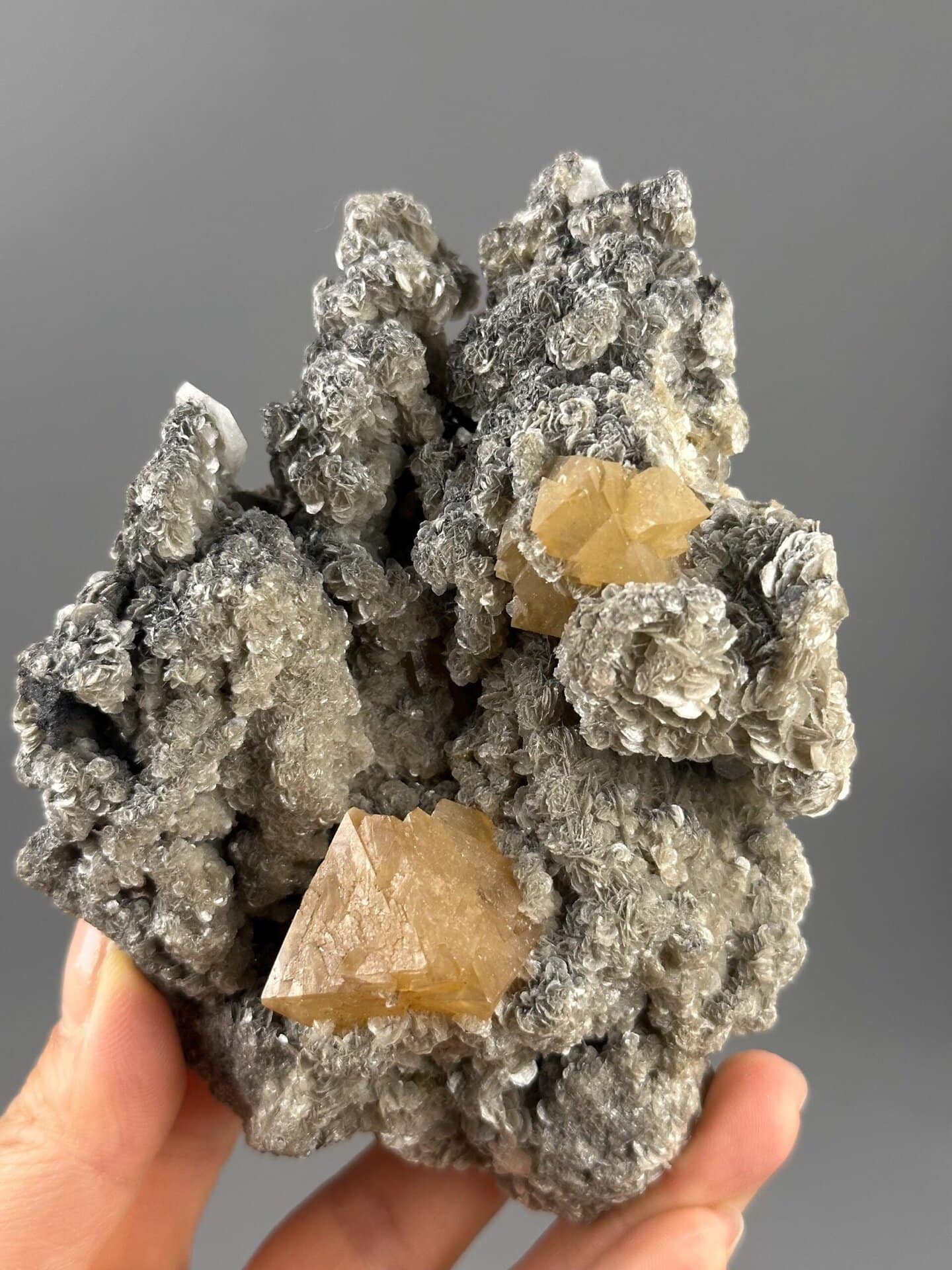 Scheelite crystal overhead top-down view