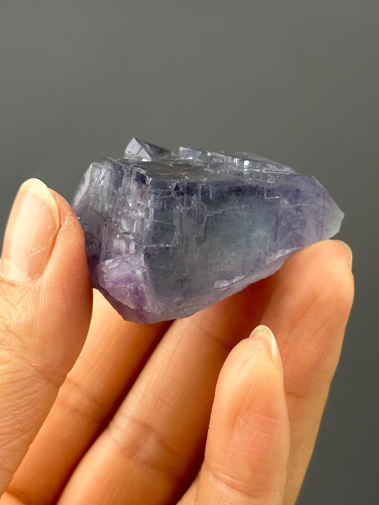 Angled view highlighting blue edge on purple fluorite twin