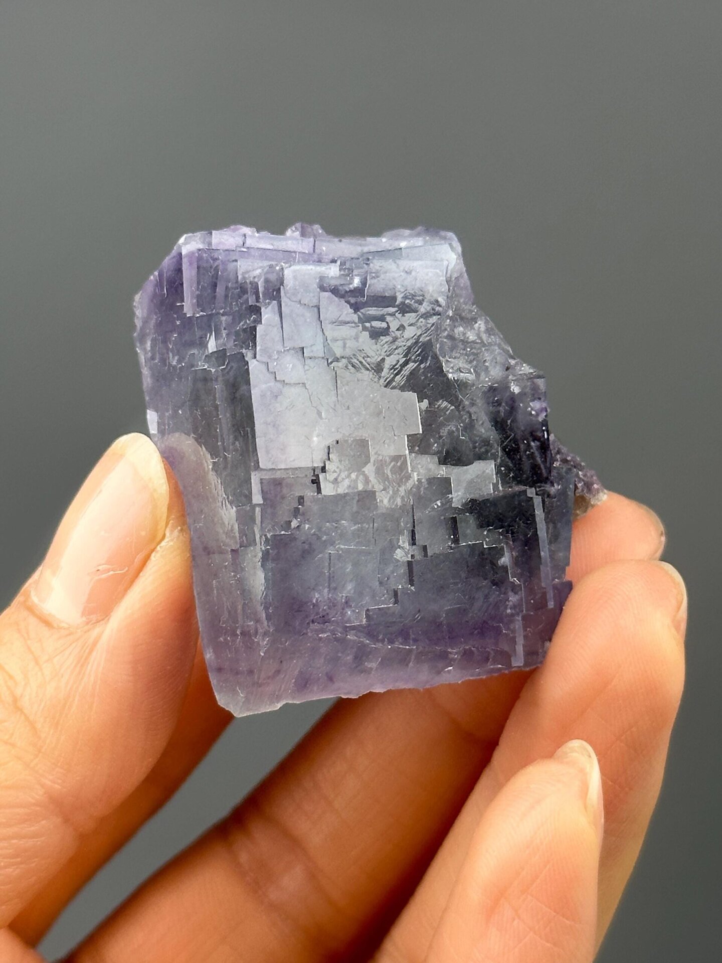 Close-up of blue edge on purple phantom fluorite