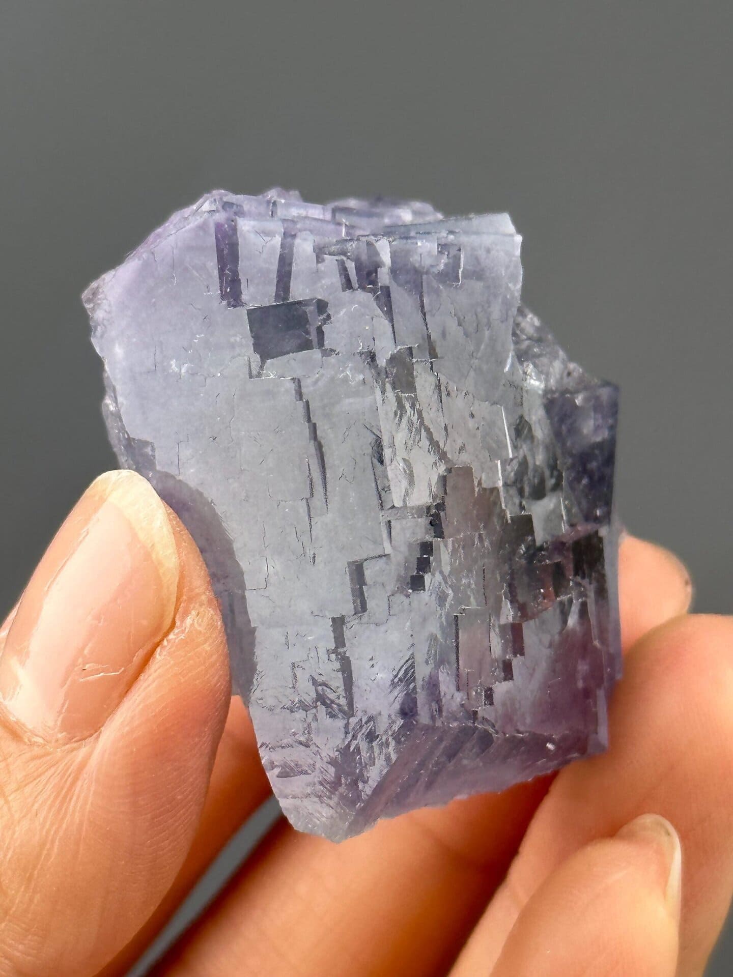 Front view showing blue-edged purple phantom fluorite twin