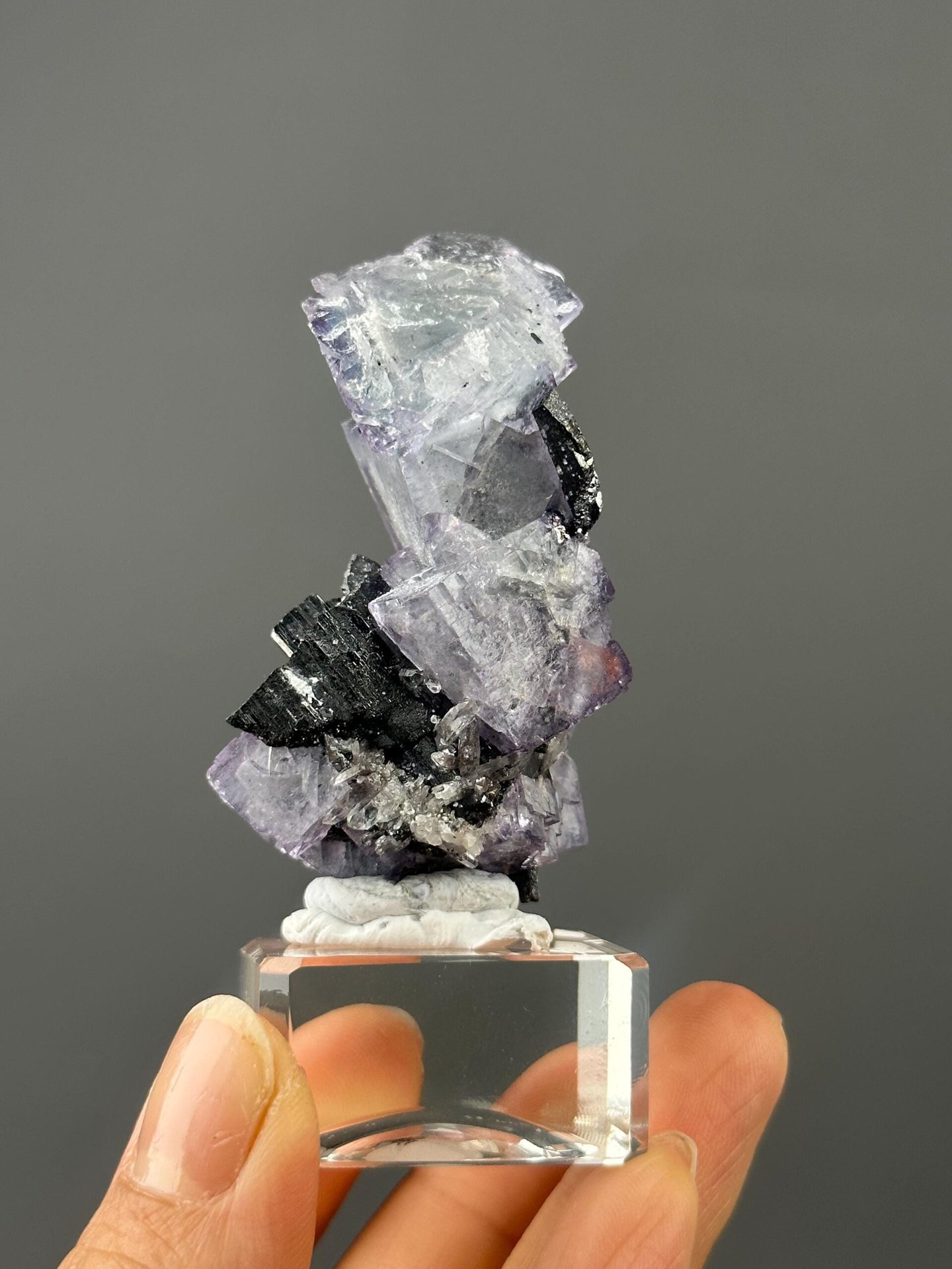Close-up of cassiterite inclusion within purple phantom fluorite