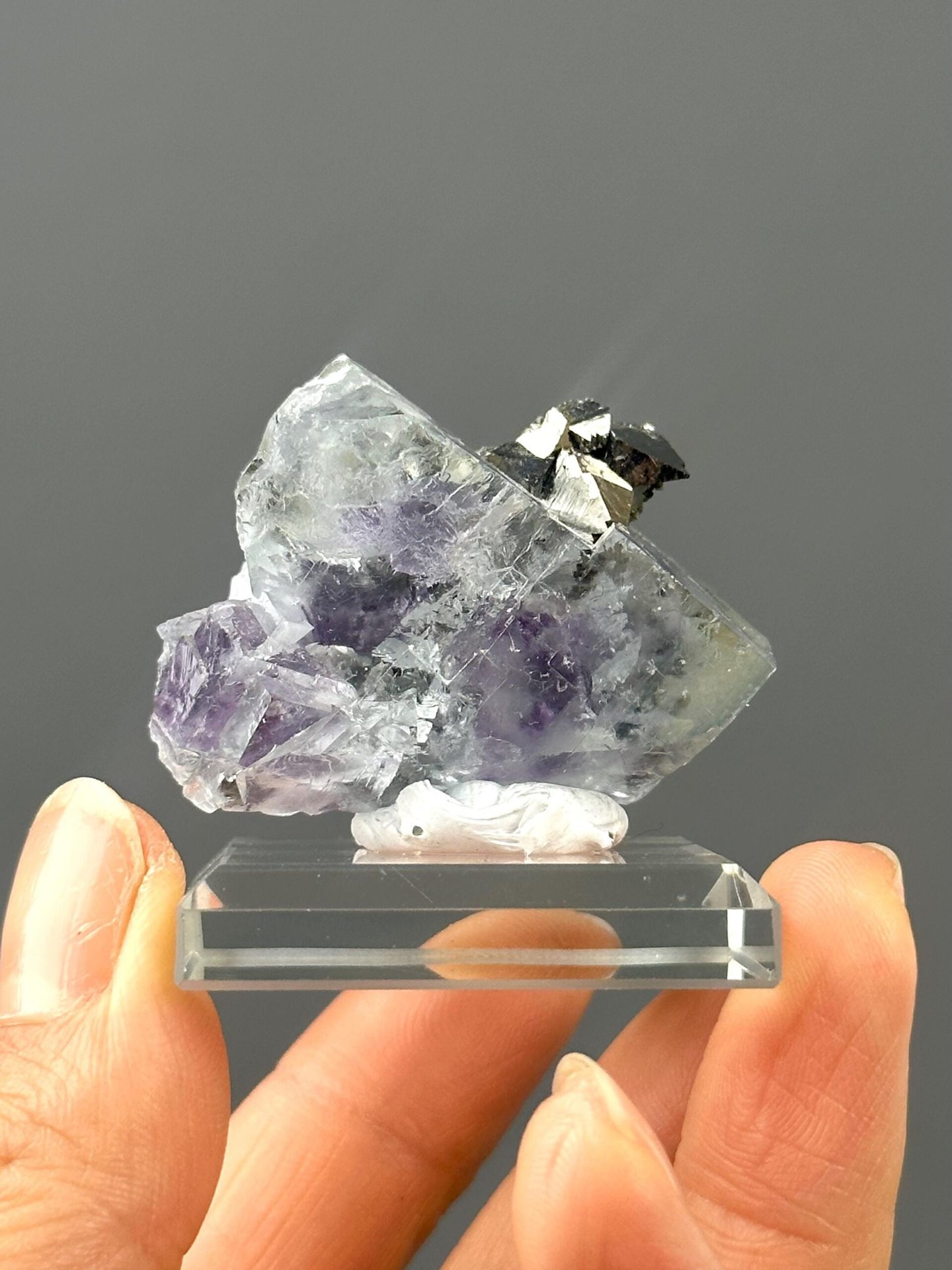 Detail of pyrite metallic luster against purple fluorite