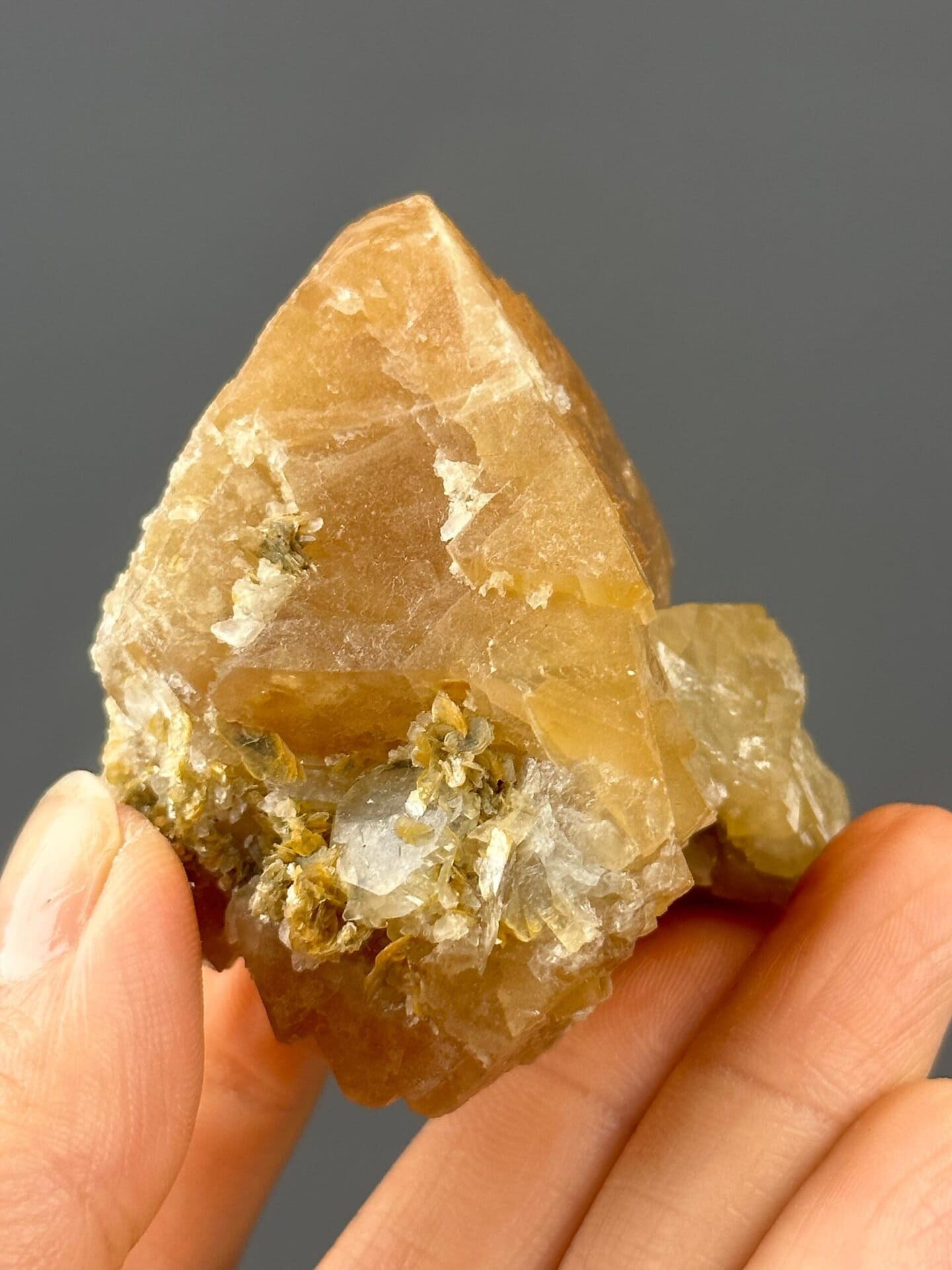 Front view of orange scheelite showing crystal cluster