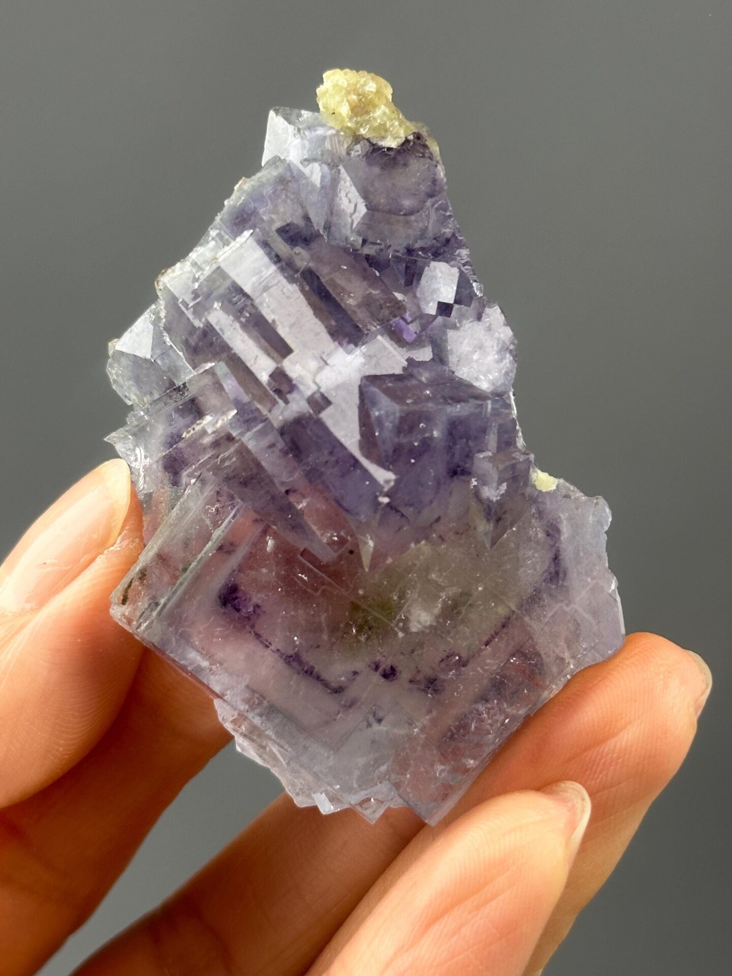 Front view of twinned purple fluorite showing phantom zones