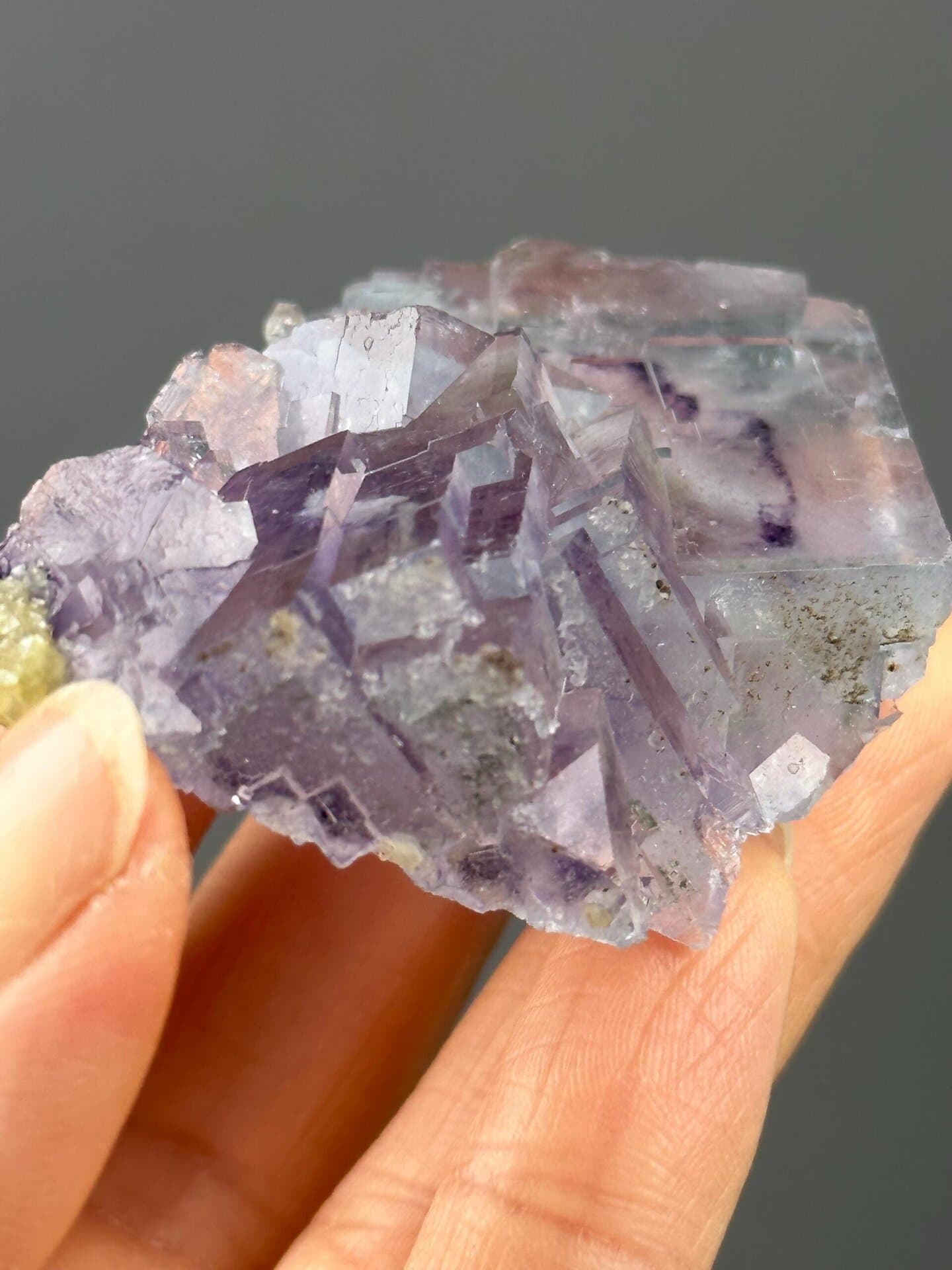 Detail of phantom banding in purple fluorite crystal