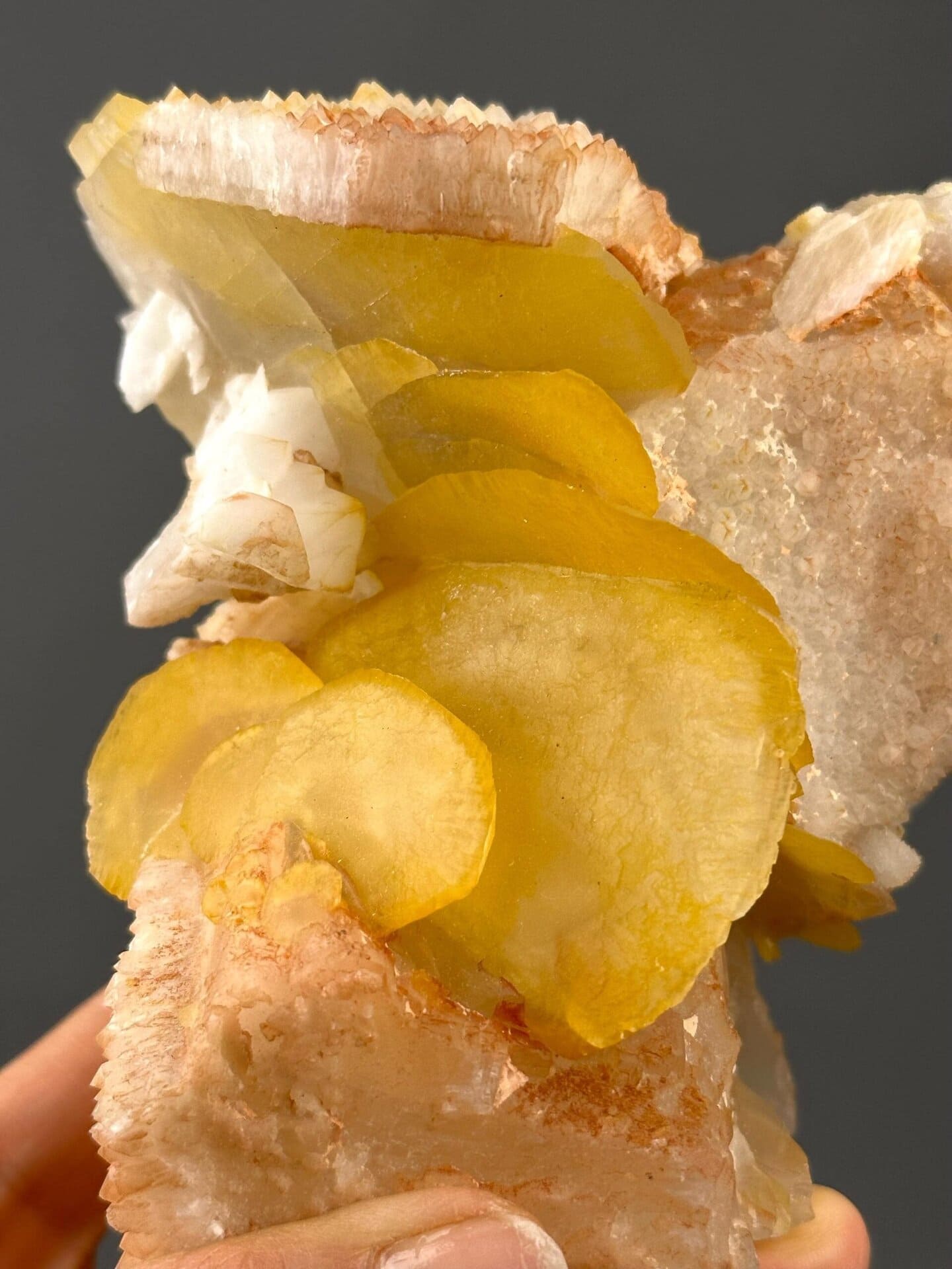 Angled view of large yellow potato calcite cluster, 43.21 oz
