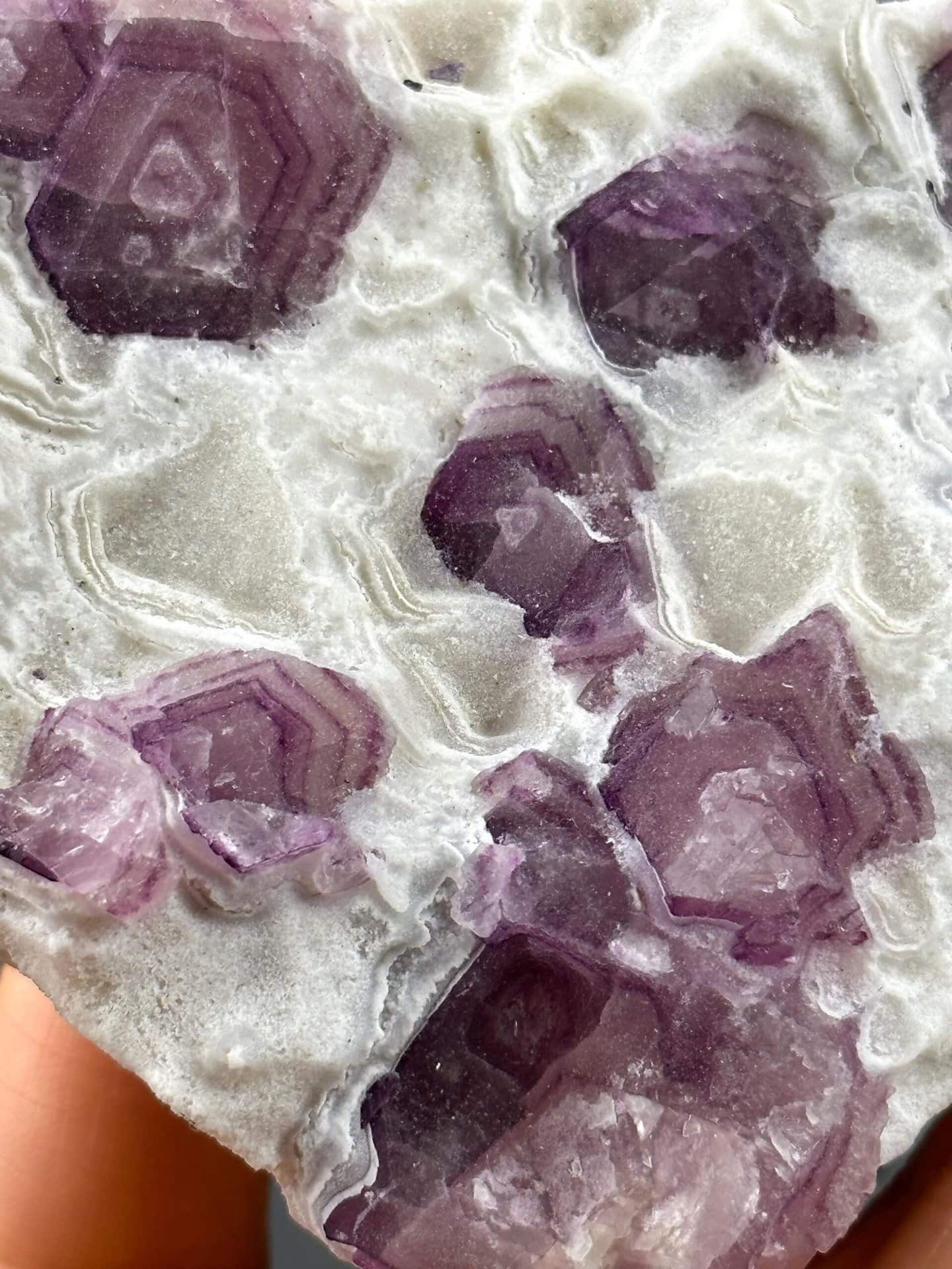 Close-up of purple and white banding in fluorite