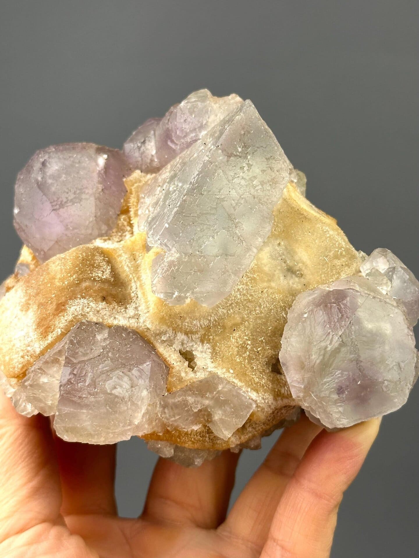 Close-up of green phantom bands within purple fluorite
