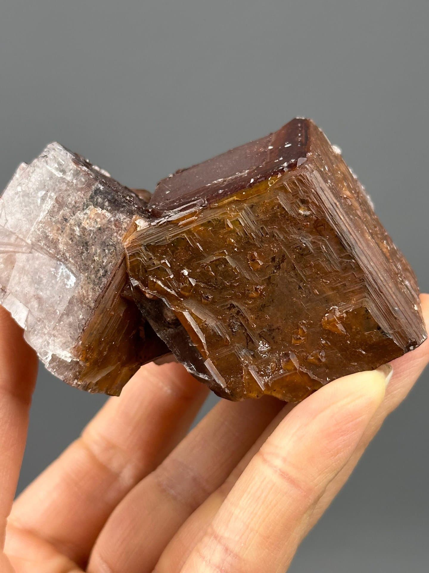 Top view of chocolate calcite twin crystal arrangement
