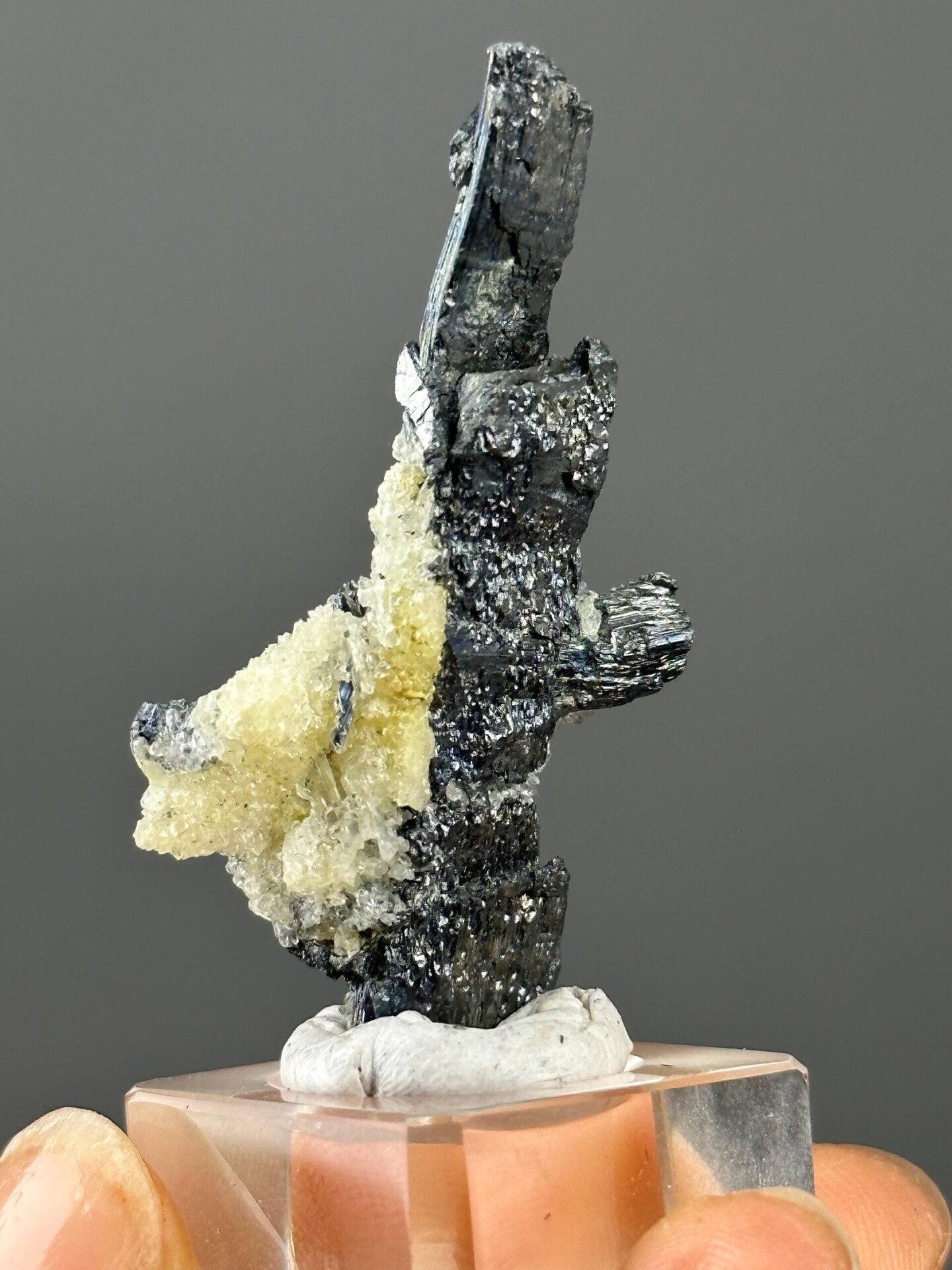 Back view of Hunan stibnite on barite specimen