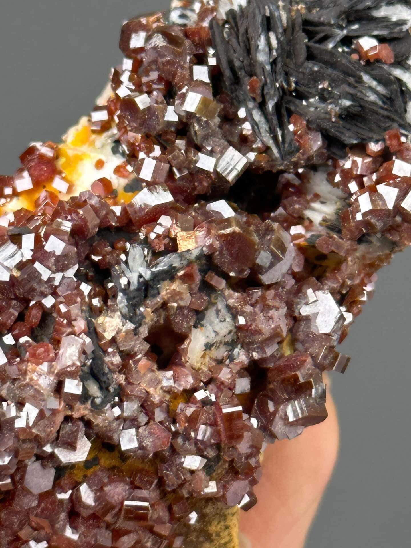 Back view of vanadinite cluster on barite matrix