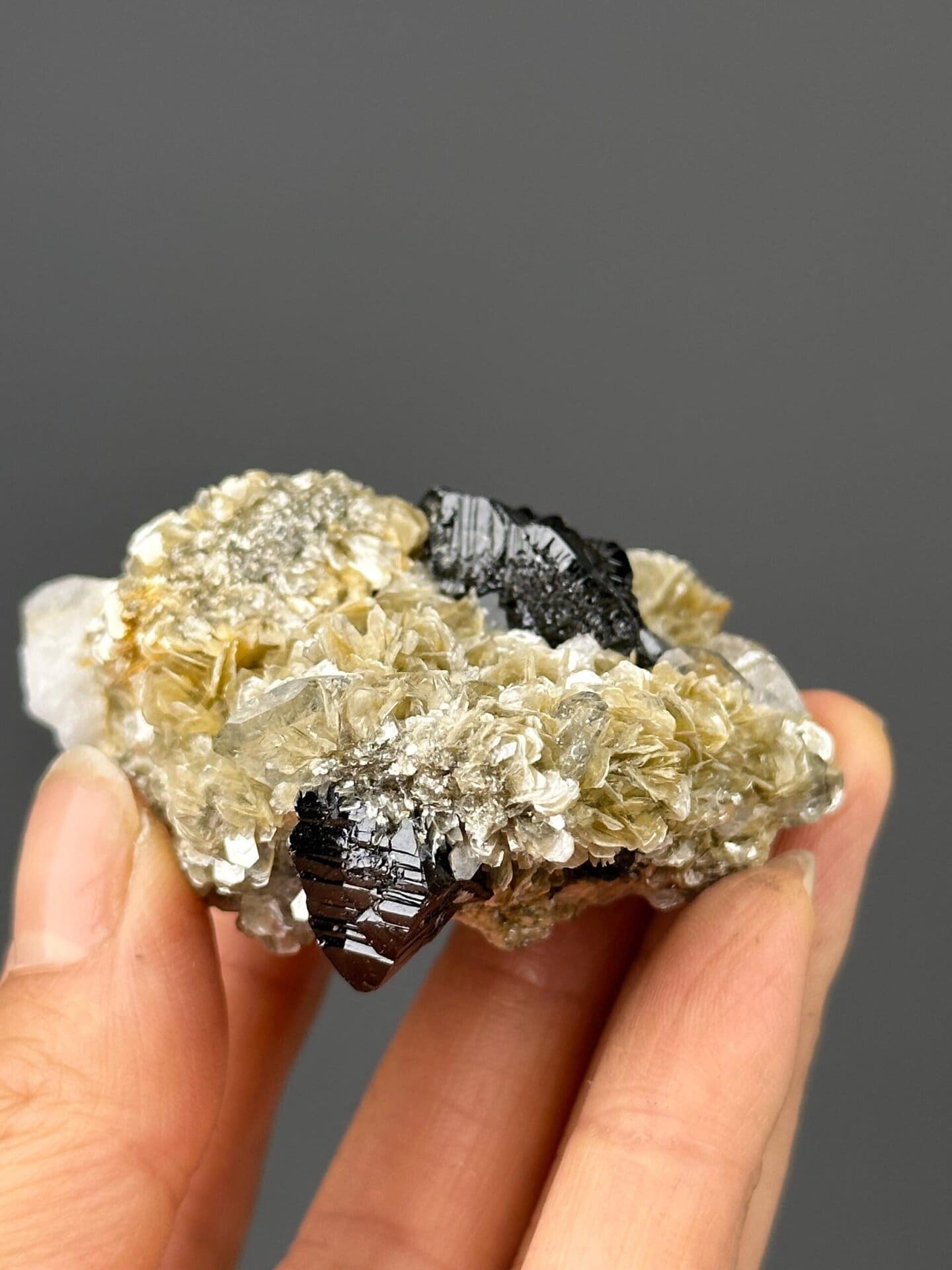 Side view of cassiterite specimen, 2.6×2.3×1.3 in, Xuebaoding