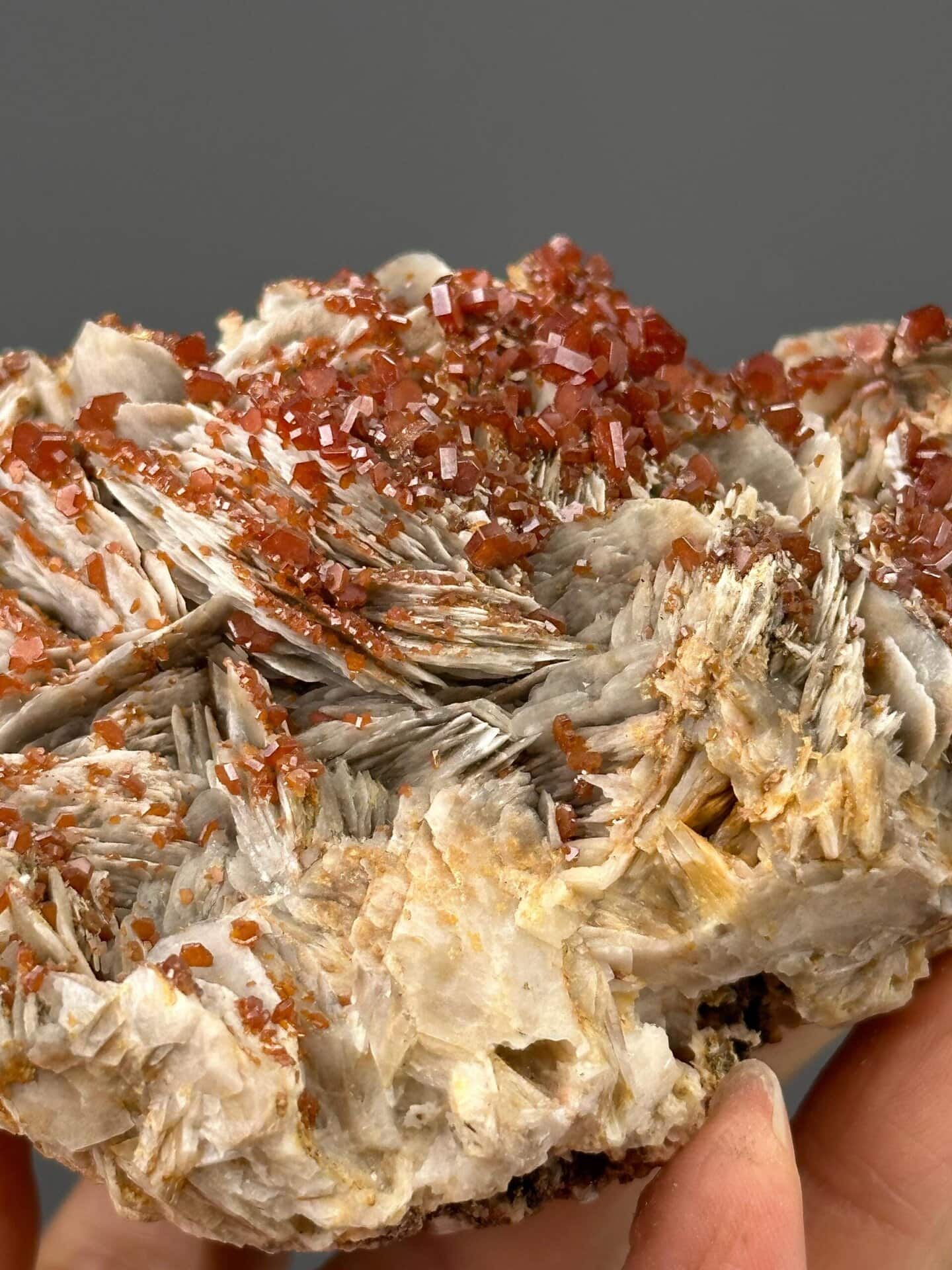 Pb₅(VO₄)₃Cl vanadinite on BaSO₄ barite, 12.17 oz, Morocco