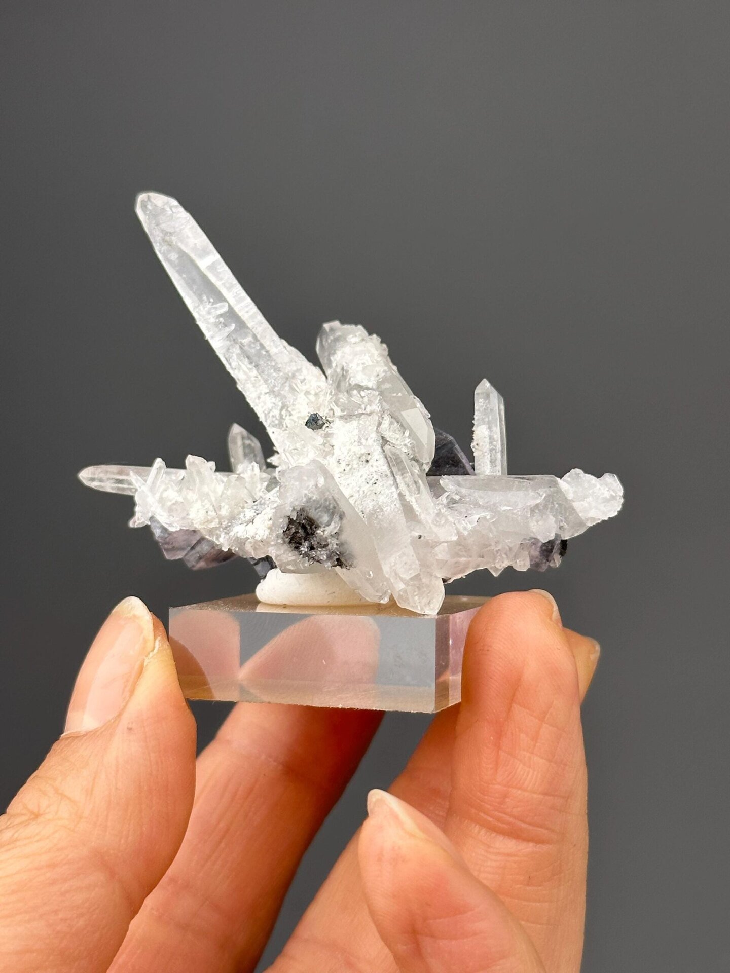 SnO₂ cassiterite on SiO₂ quartz with CaF₂ fluorite, Yaogangxian, 1.41 oz