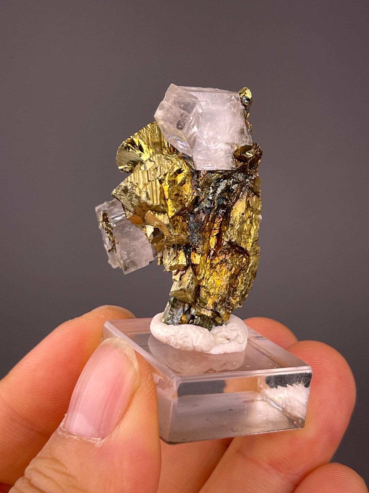 Brilliant pyrite luster beside clear calcite crystals