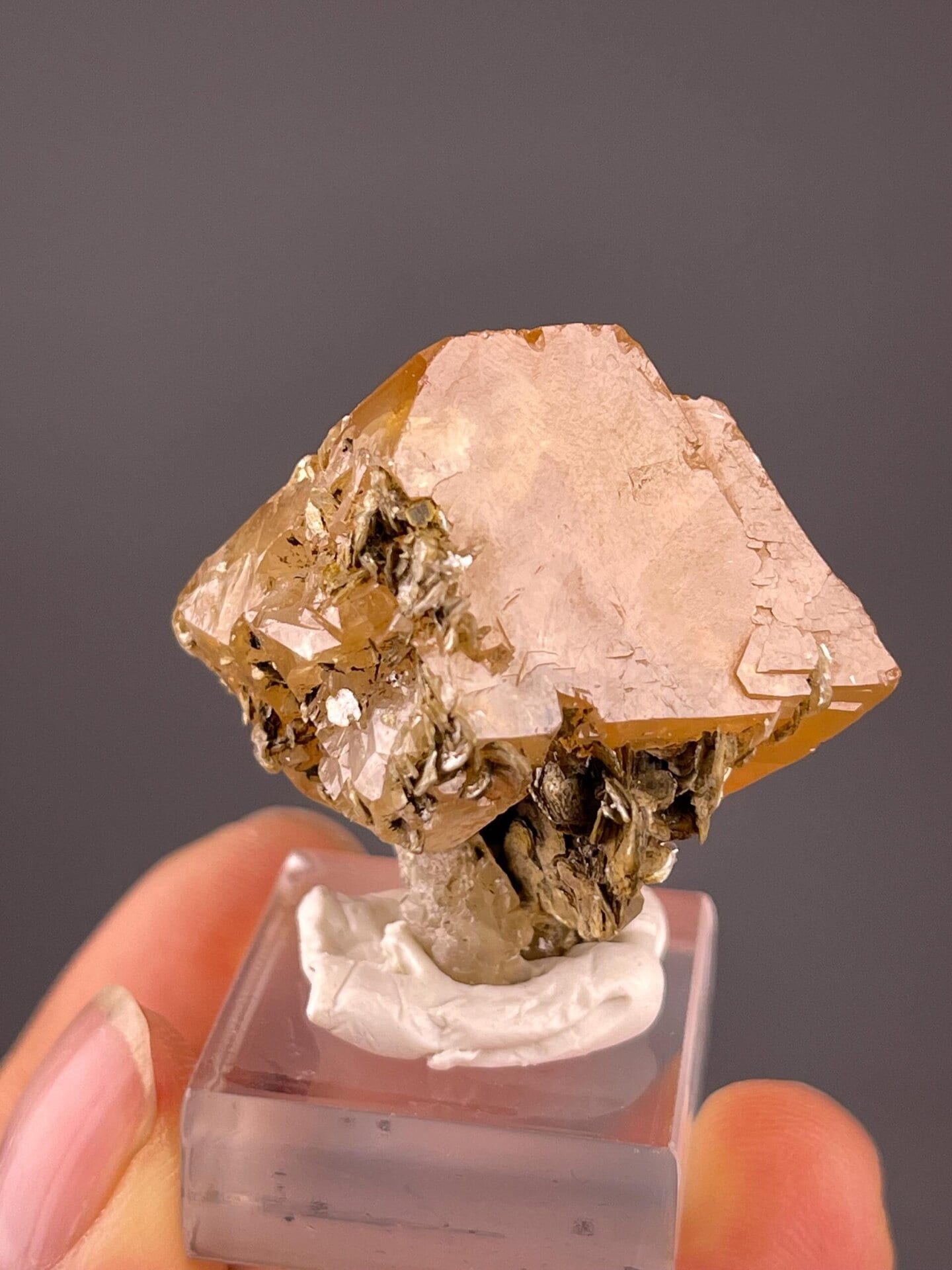 Side view of scheelite on mica matrix, Xuebaoding mine