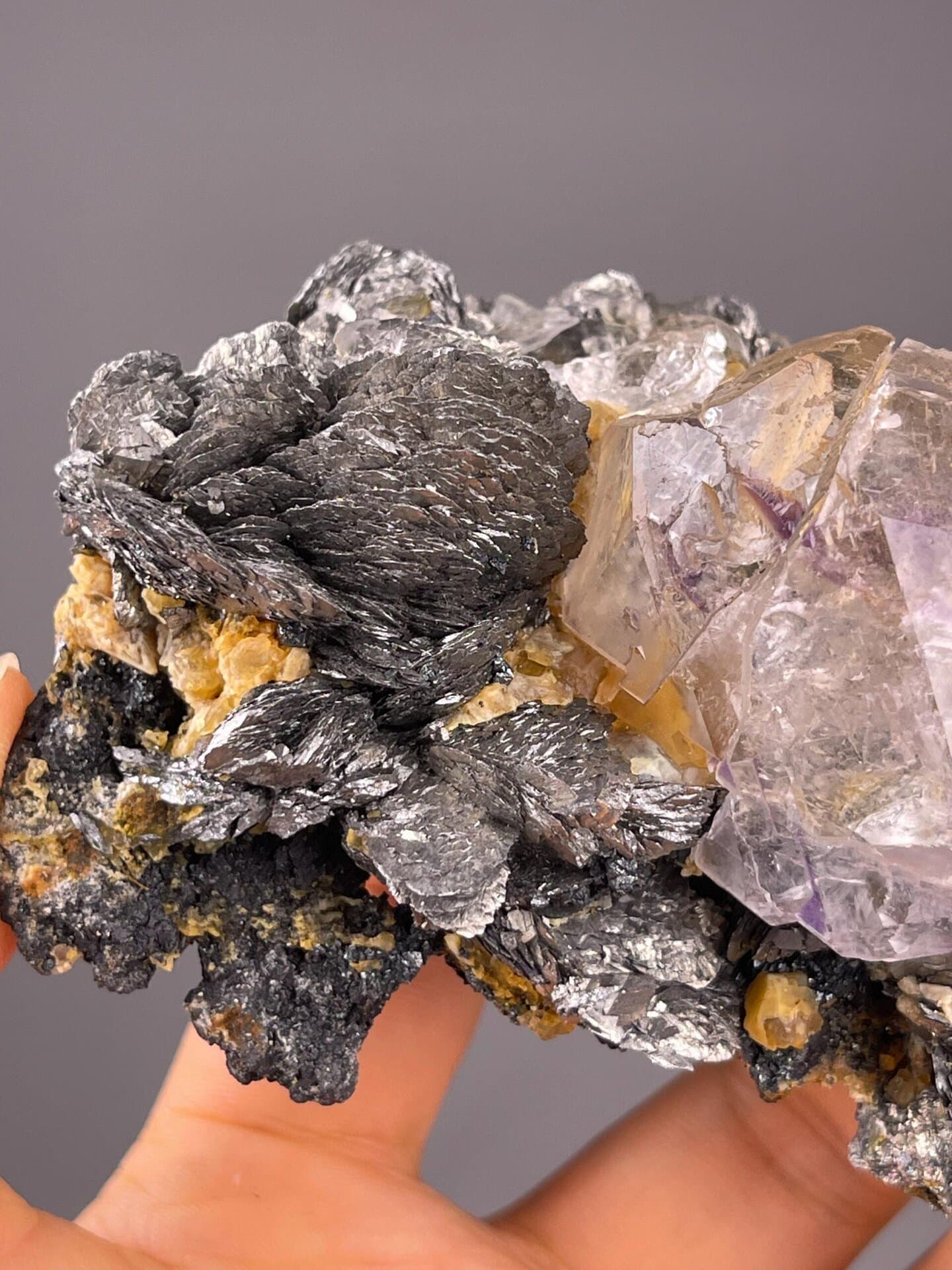 Fluorite crystal with purple phantom zones on marcasite-rich matrix