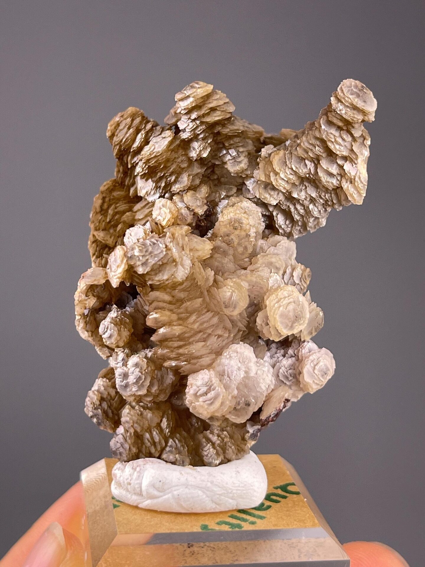Paddle calcite cluster from Yaogangxian Mine, Hunan, China