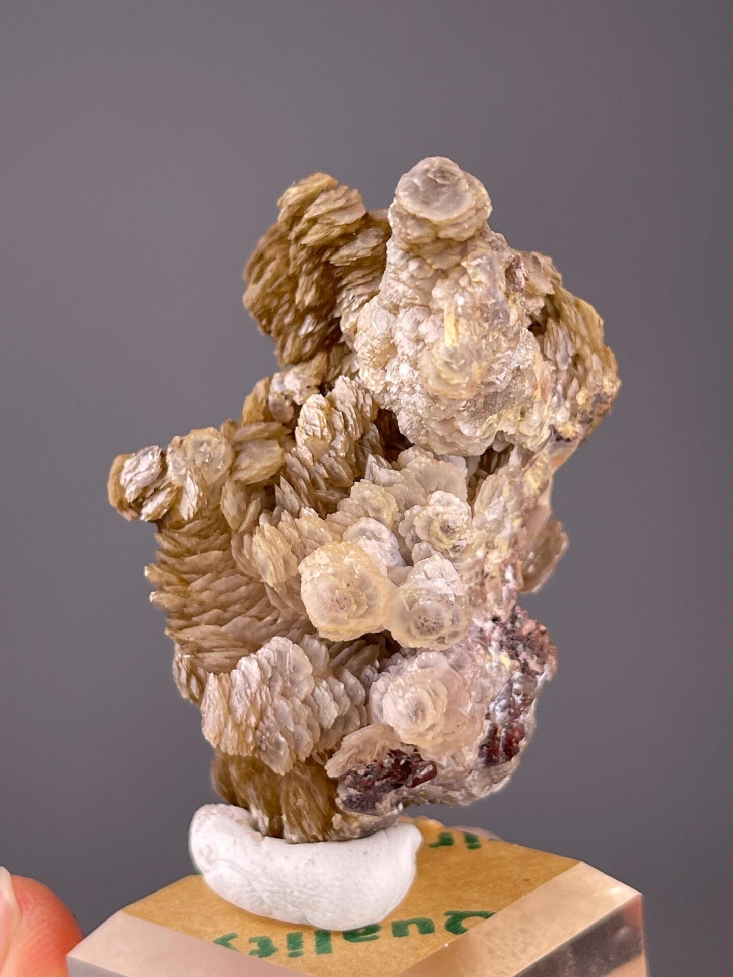 Close-up of fan-like calcite crystal growth from Hunan