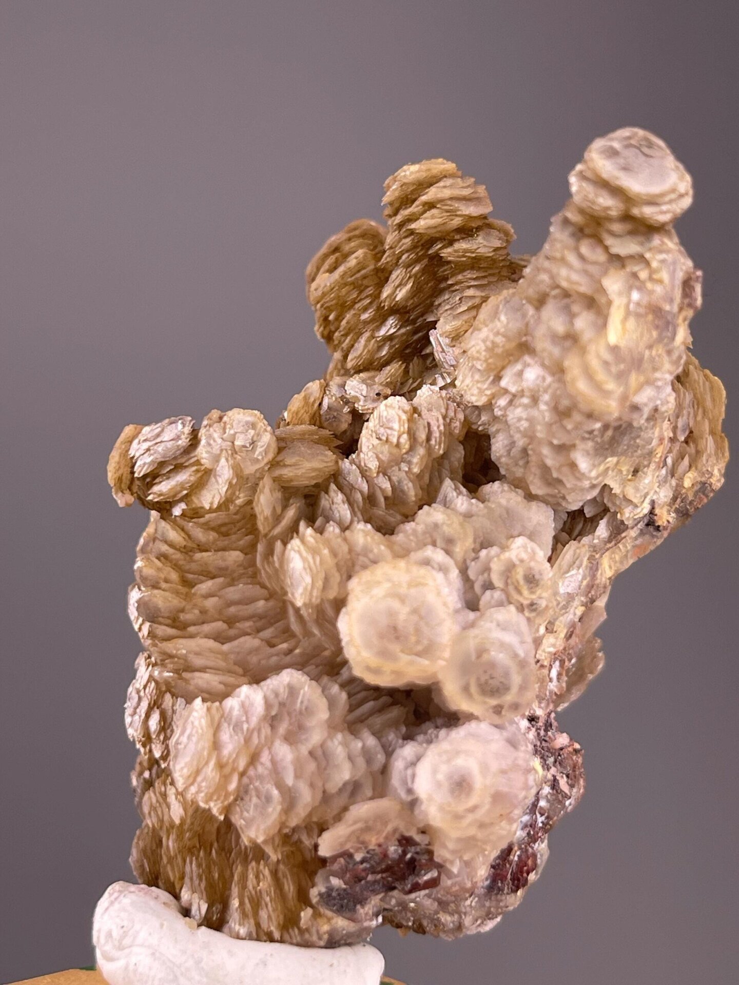 Paddle calcite cluster with vitreous luster on matrix