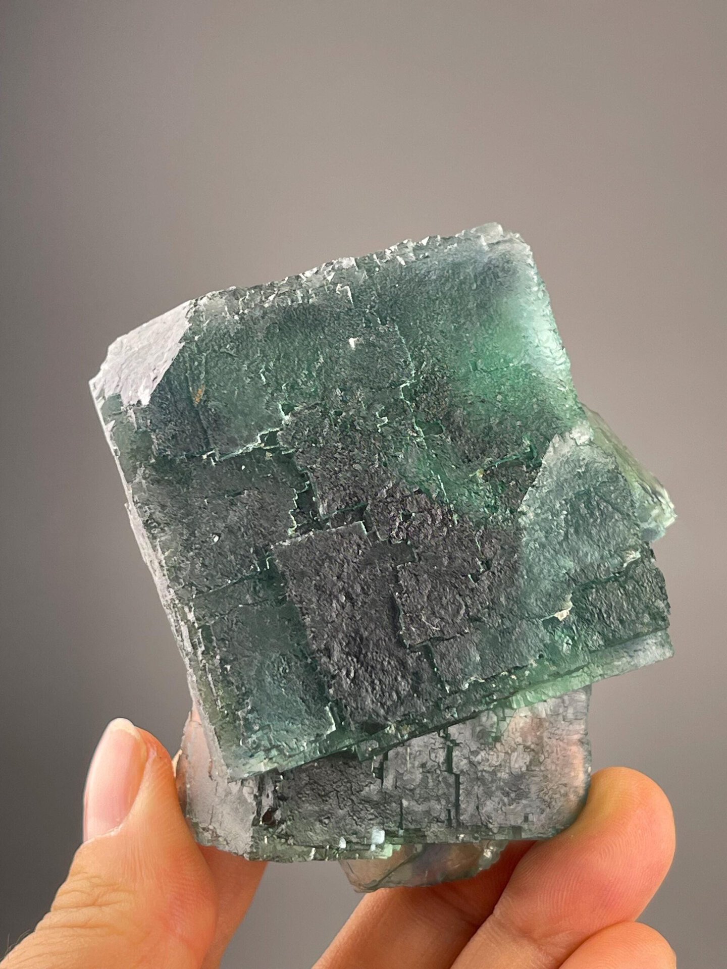 Multiple green cubic fluorite crystals on matrix from Namibia