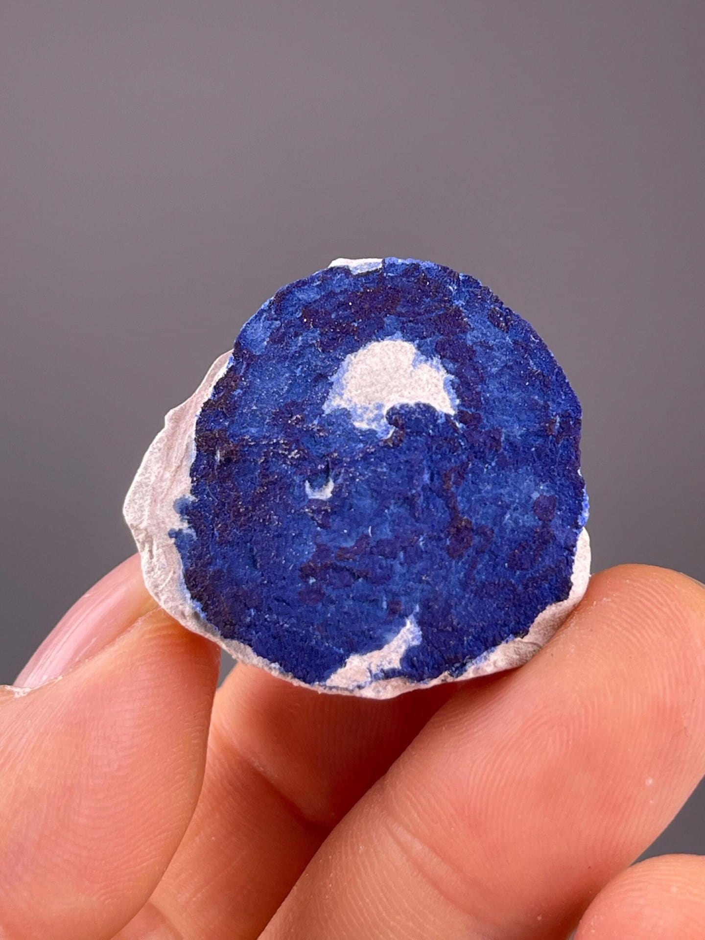 Collector azurite sun specimen from Malbunka Mine, Australia