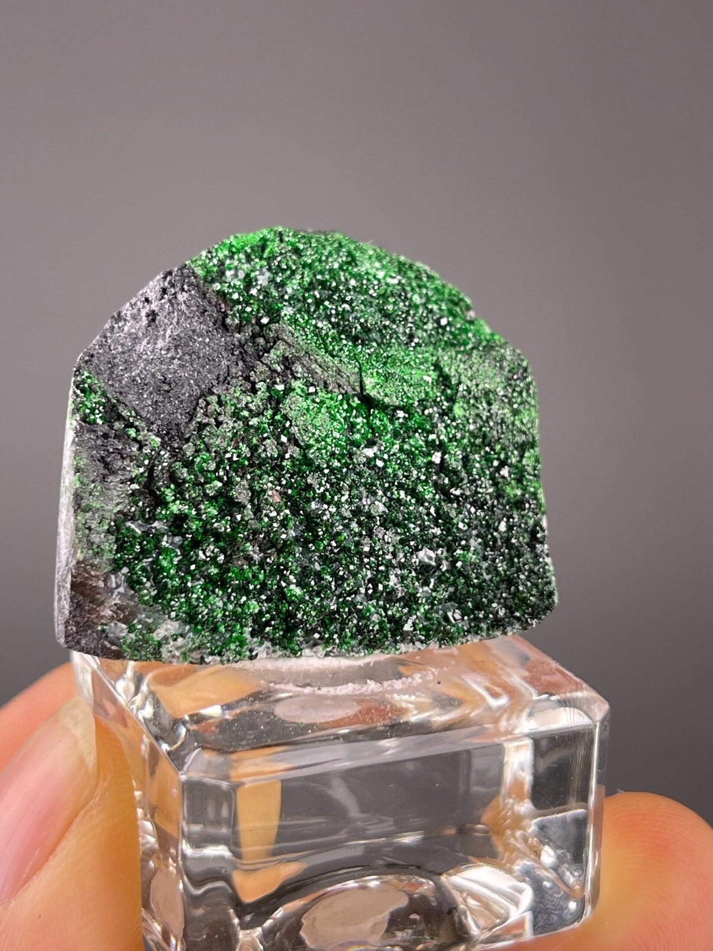 Bright green grossular garnet dodecahedral crystals on matrix