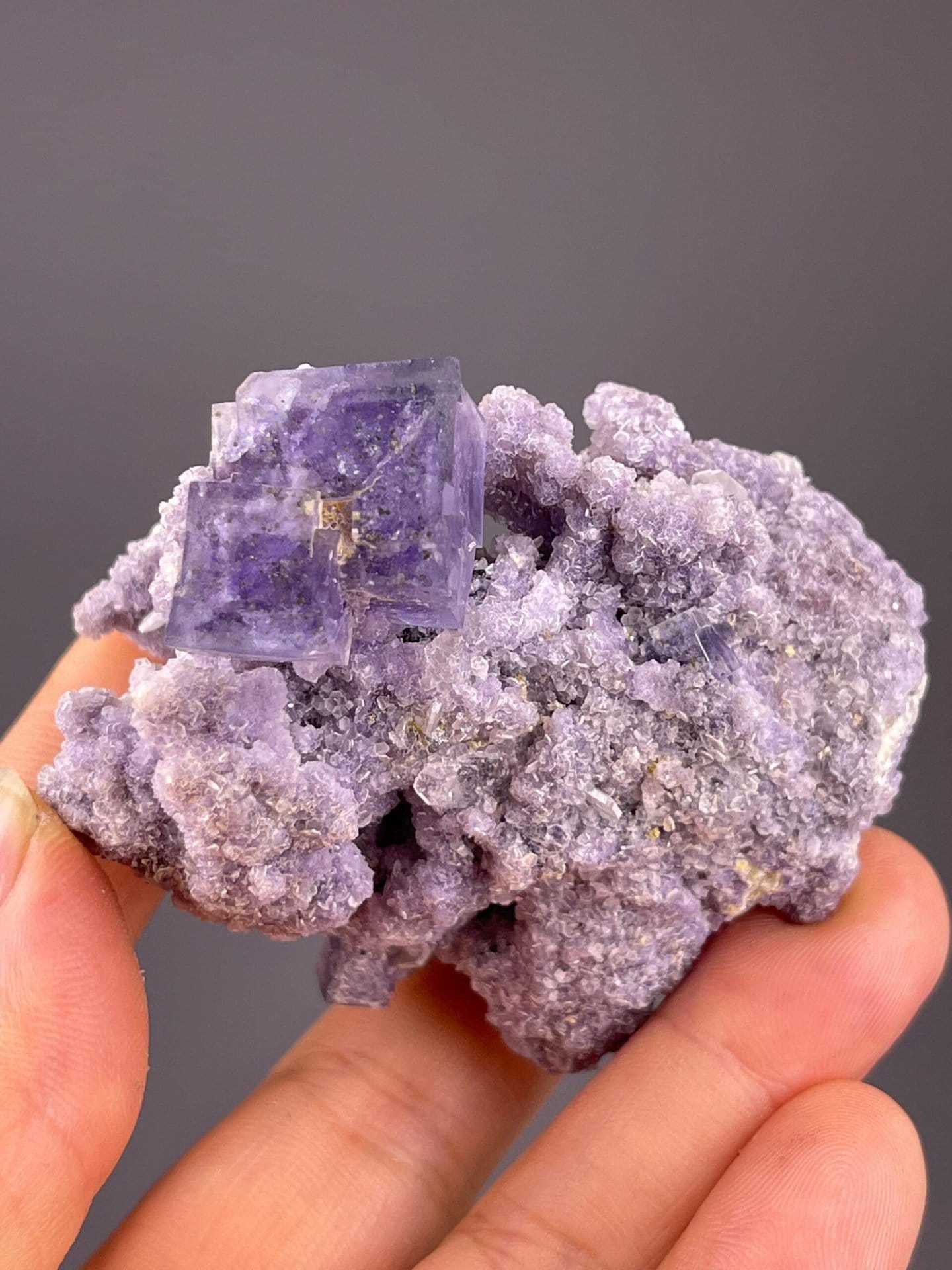 CaF₂ isometric purple fluorite with associated mica on matrix