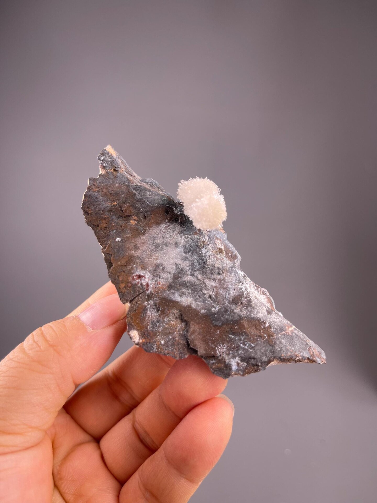 Gypsum flower formation with delicate radial crystal petals