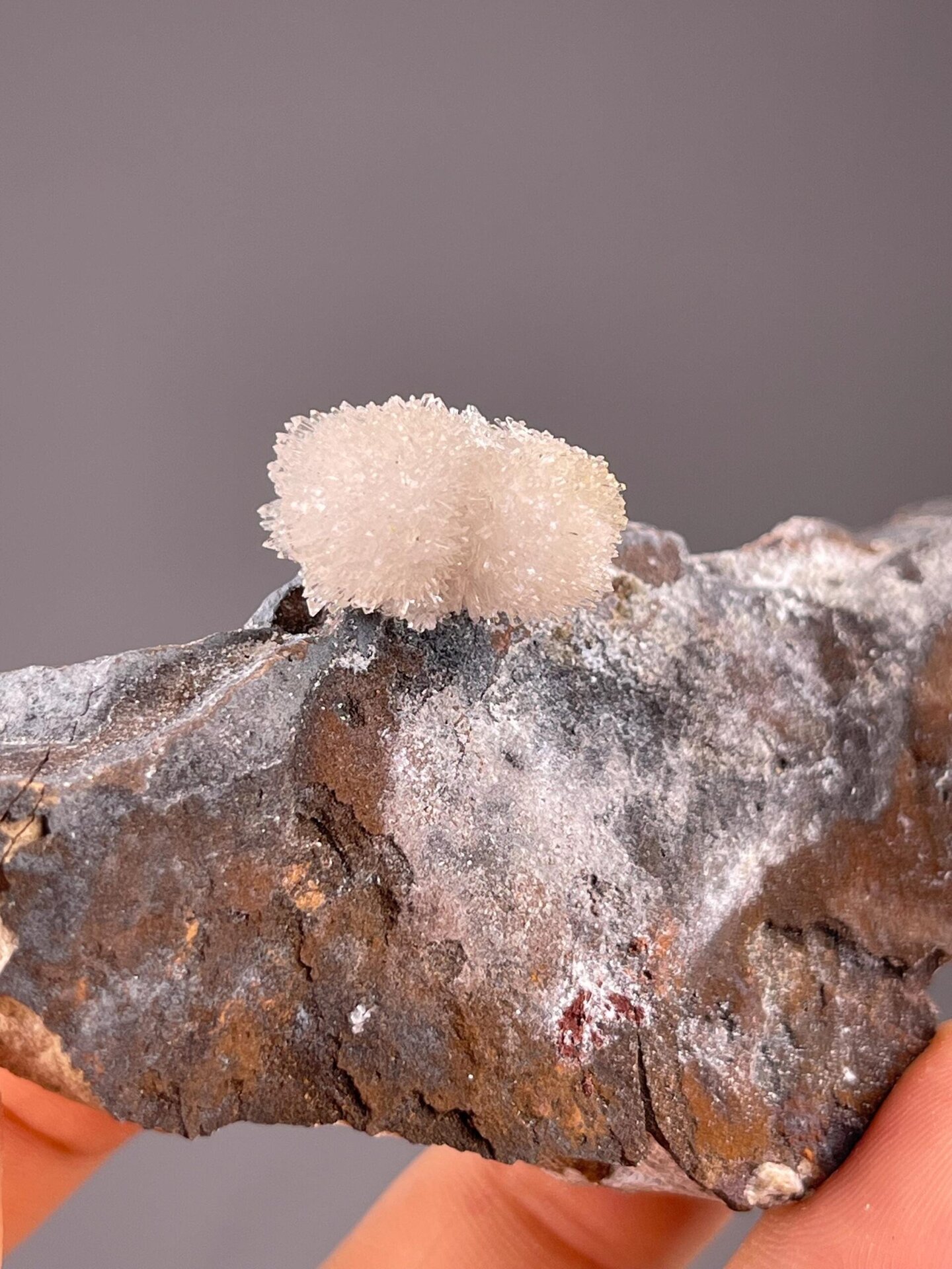 Selenite gypsum in floral petal habit on natural matrix