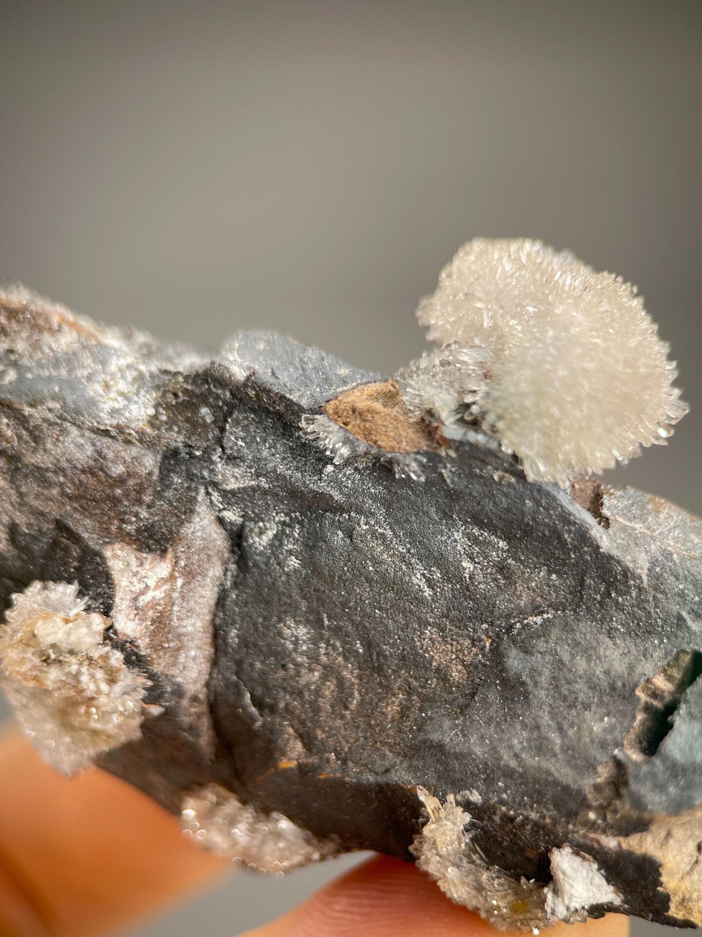 Collector gypsum flower formation on matrix from Guizhou