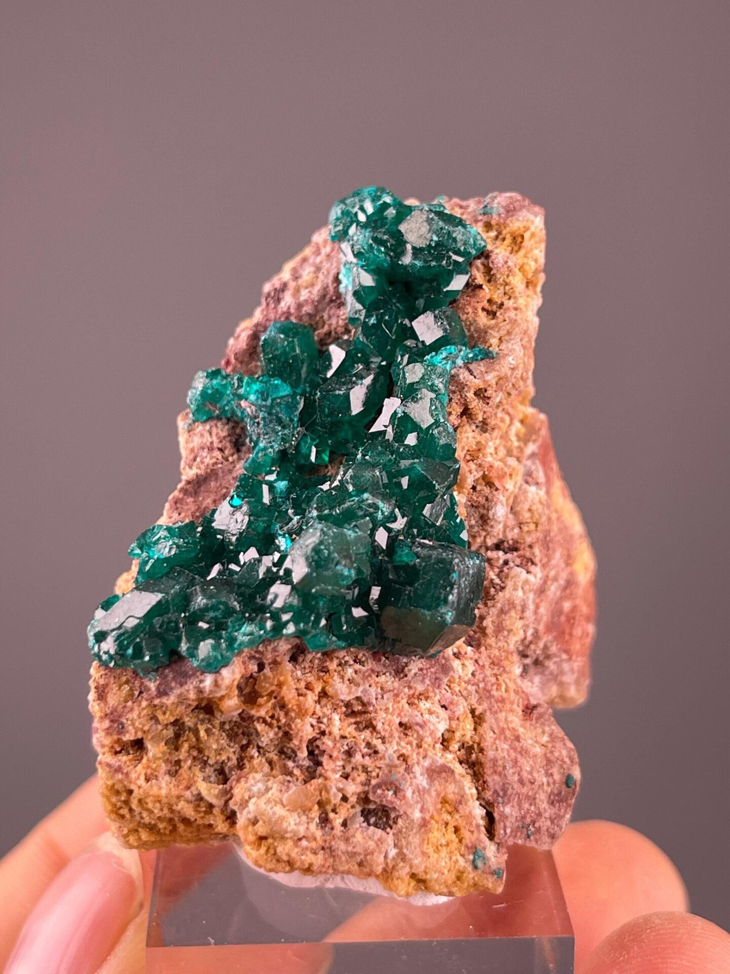 Dioptase crystal cluster from Democratic Republic of Congo