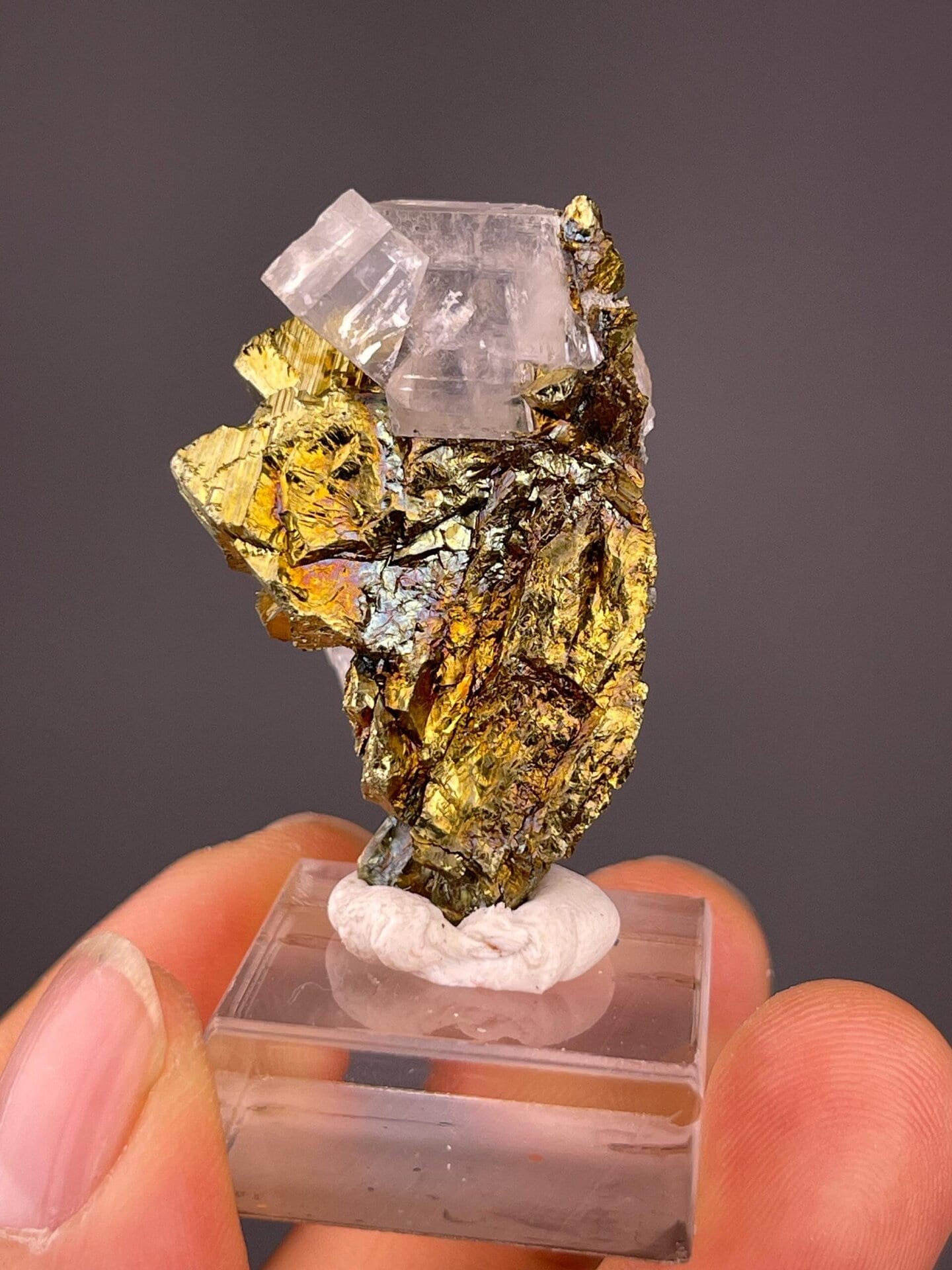 Metallic pyrite cubes contrasting with transparent calcite