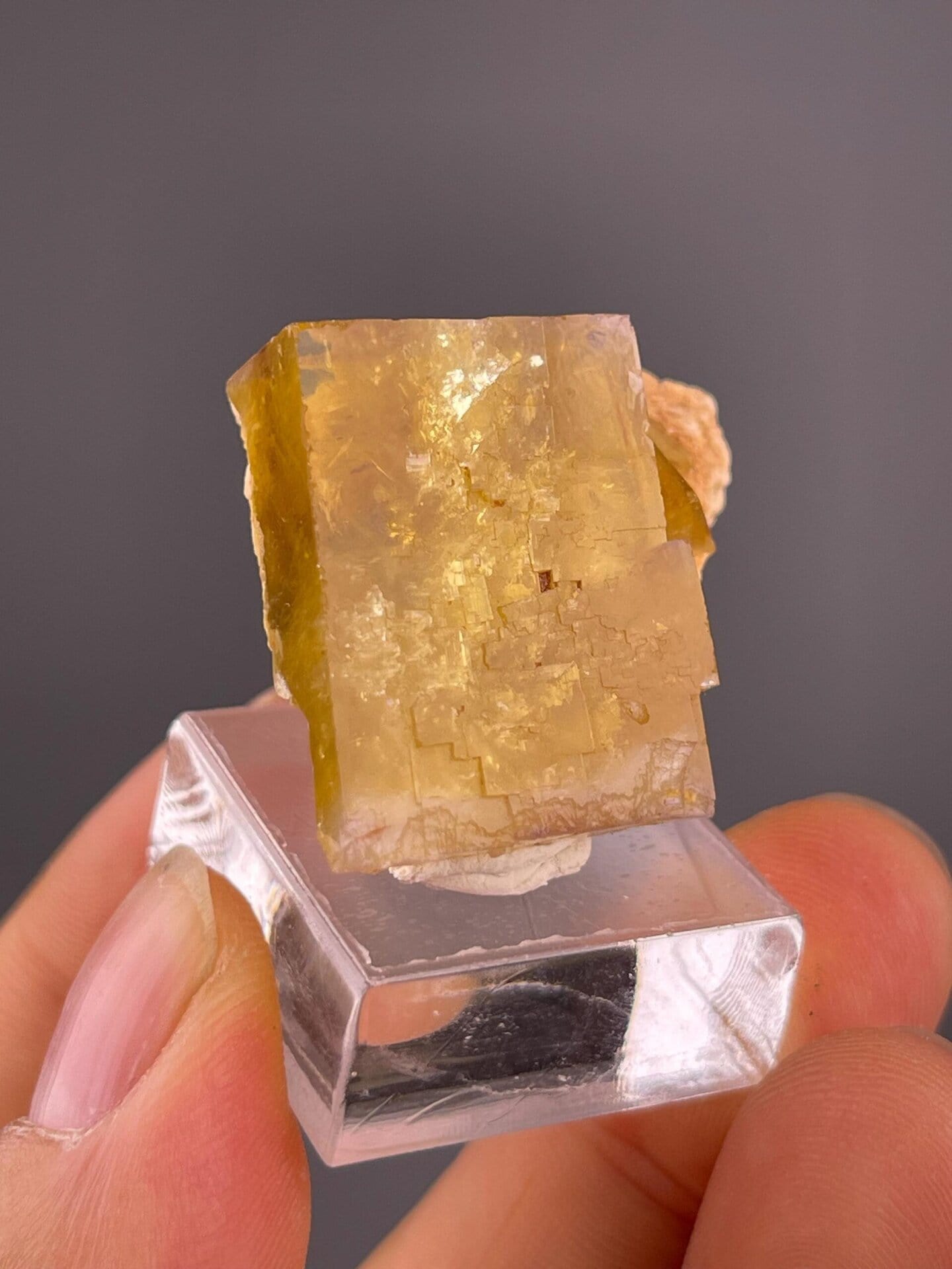 Side view of yellow fluorite cube on natural matrix