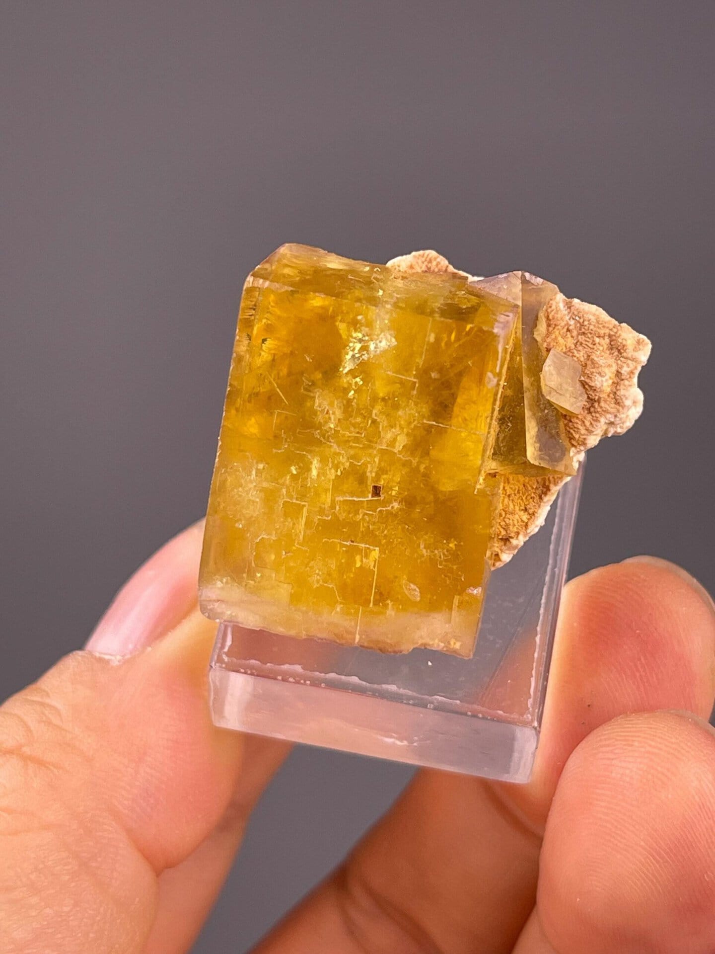 Rear view of yellow fluorite cube on matrix, Beijing